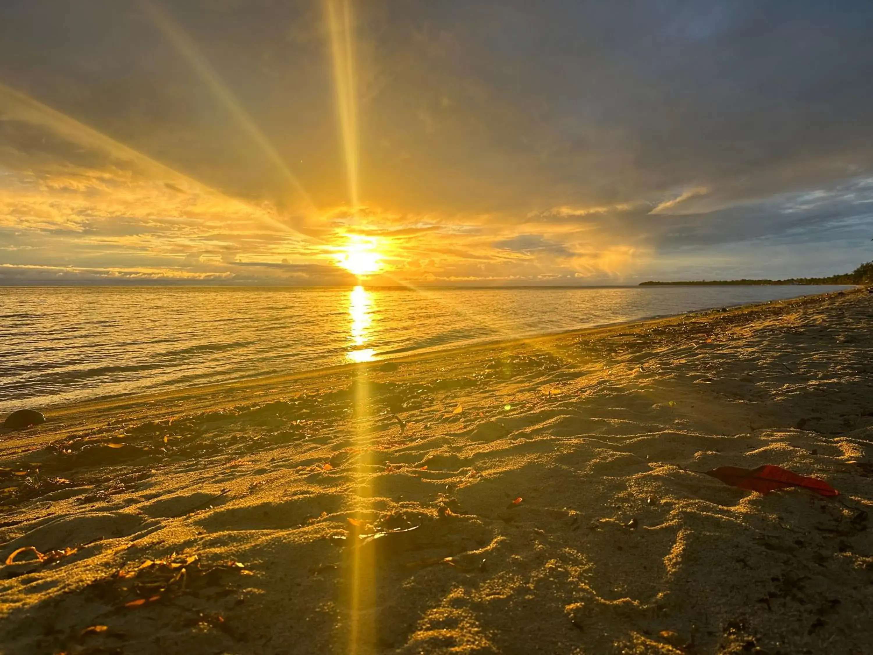 Deluxe Twin Room in All Seasons Belize Deluxe Twin Room in All Seasons Belize