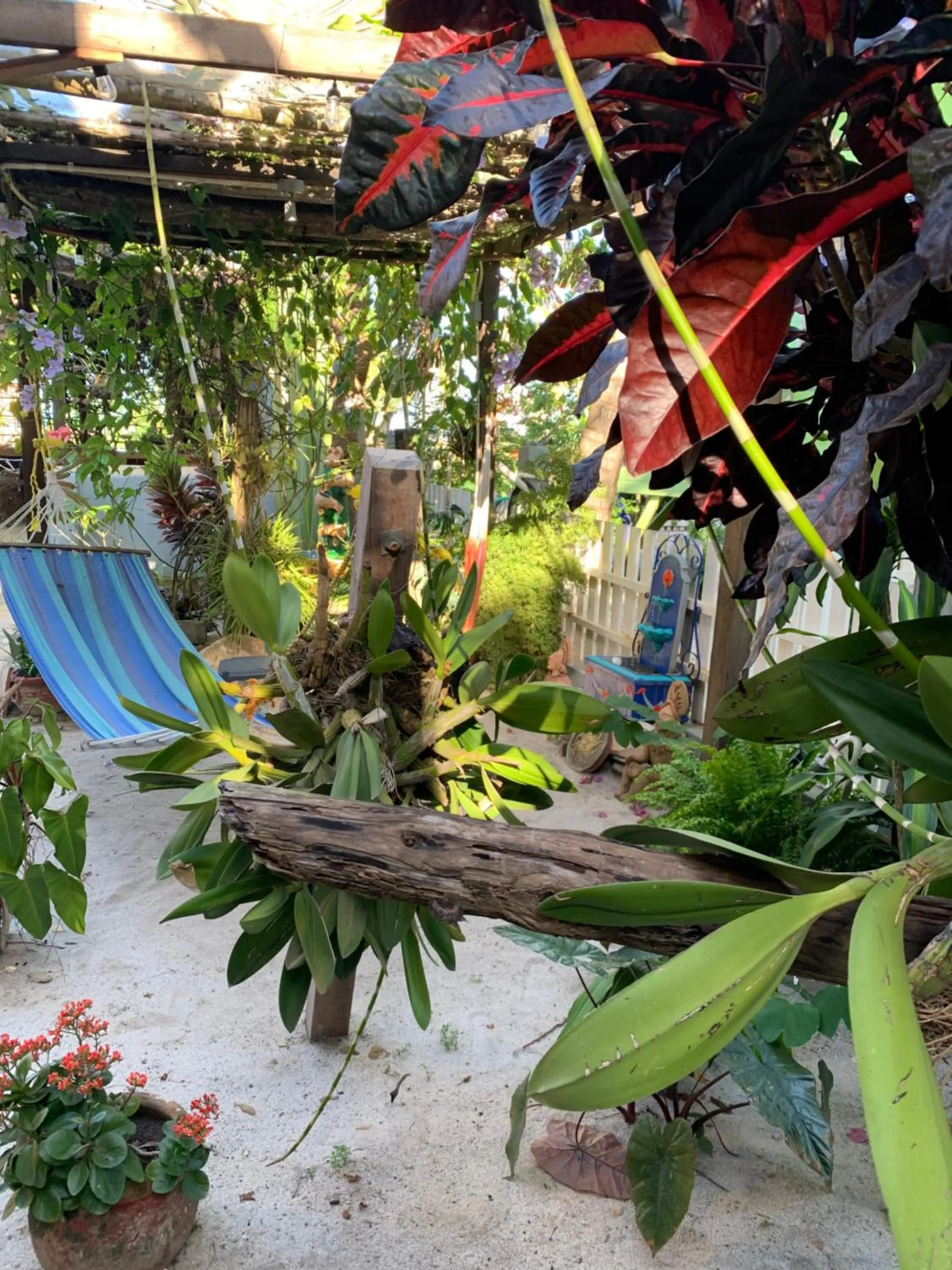 Patio in All Seasons Belize