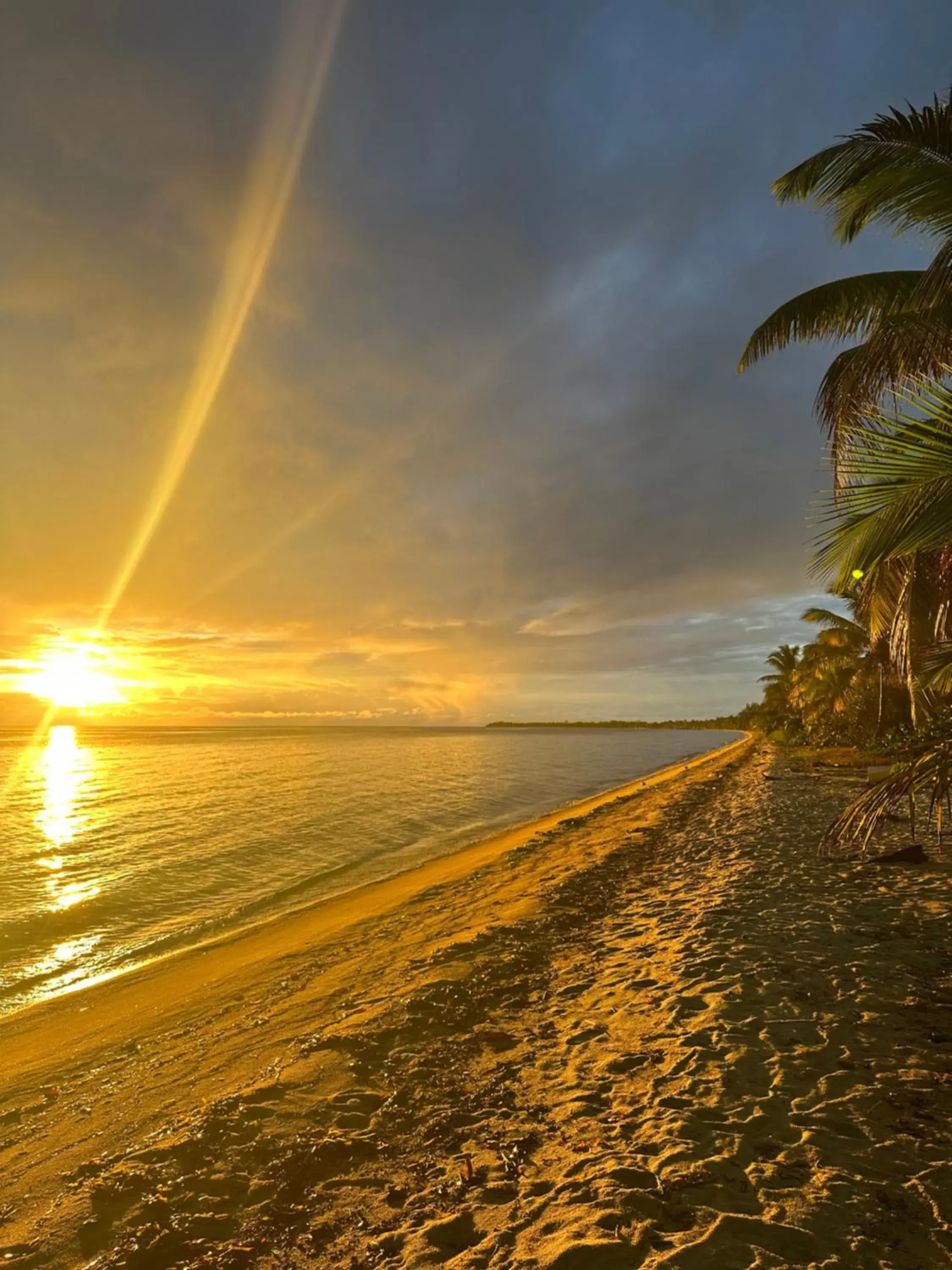 All Seasons Belize All Seasons Belize