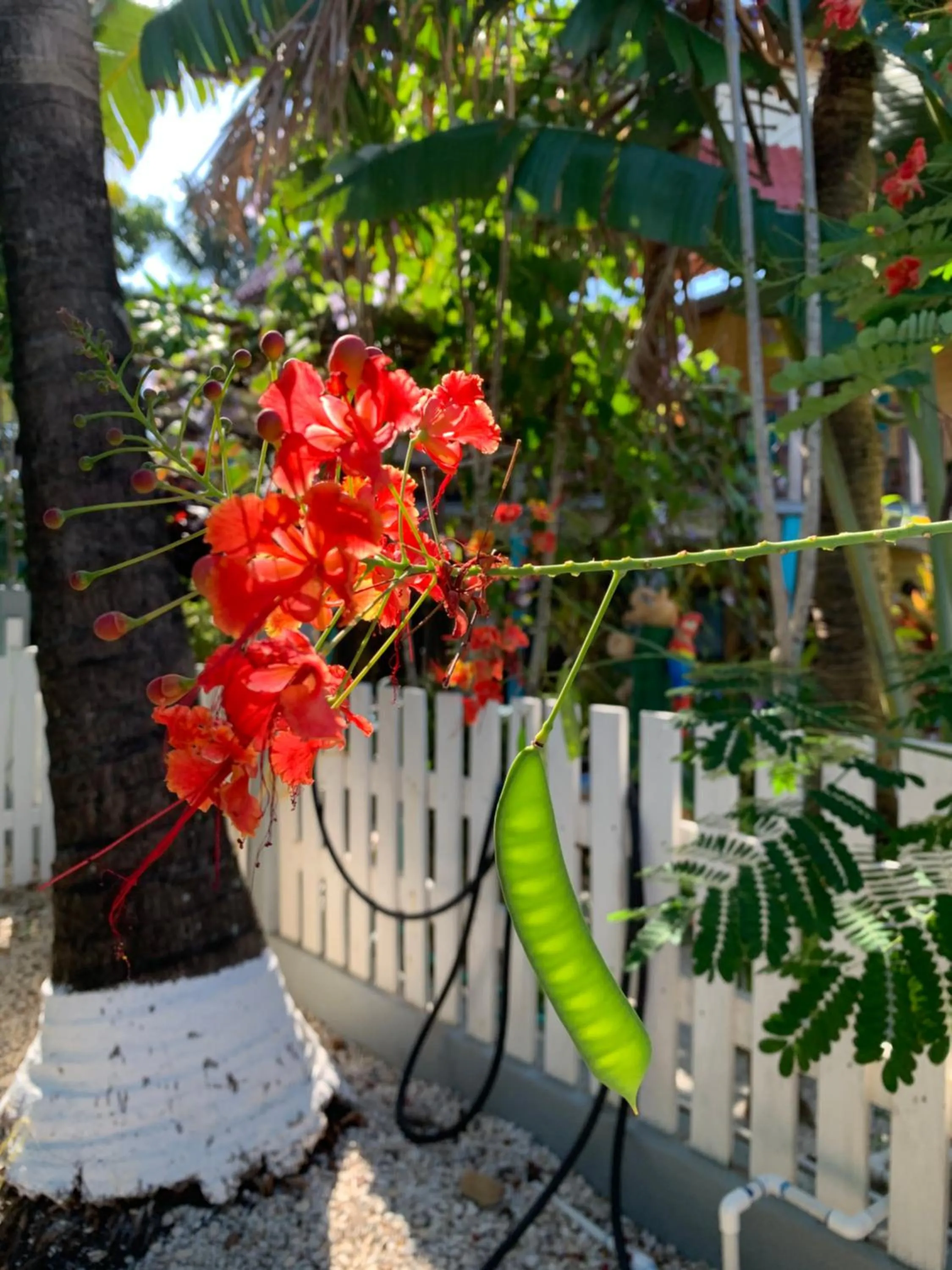 Day in All Seasons Belize