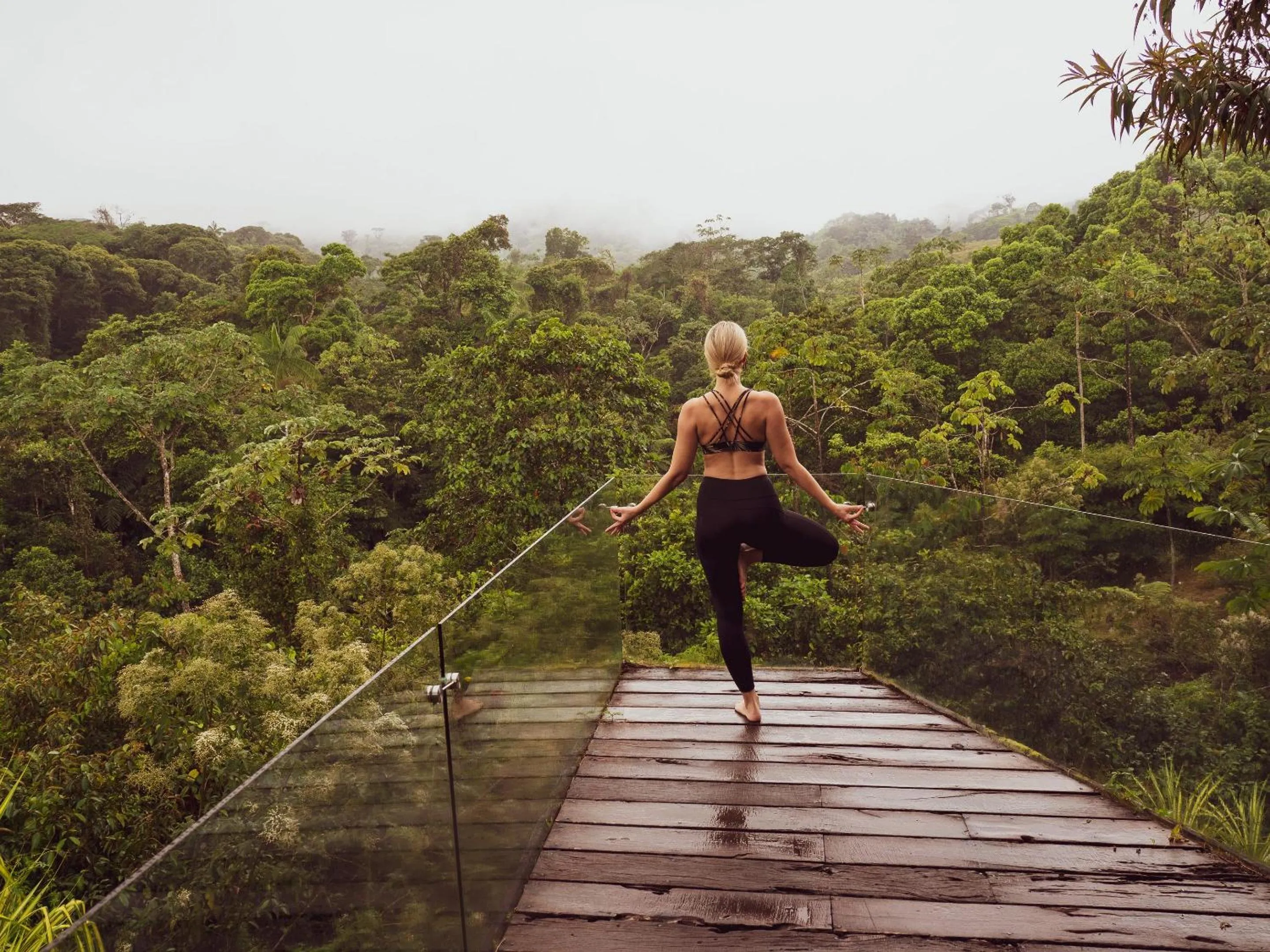 Natural landscape in Ecolirios Boutique Hotel & Villas