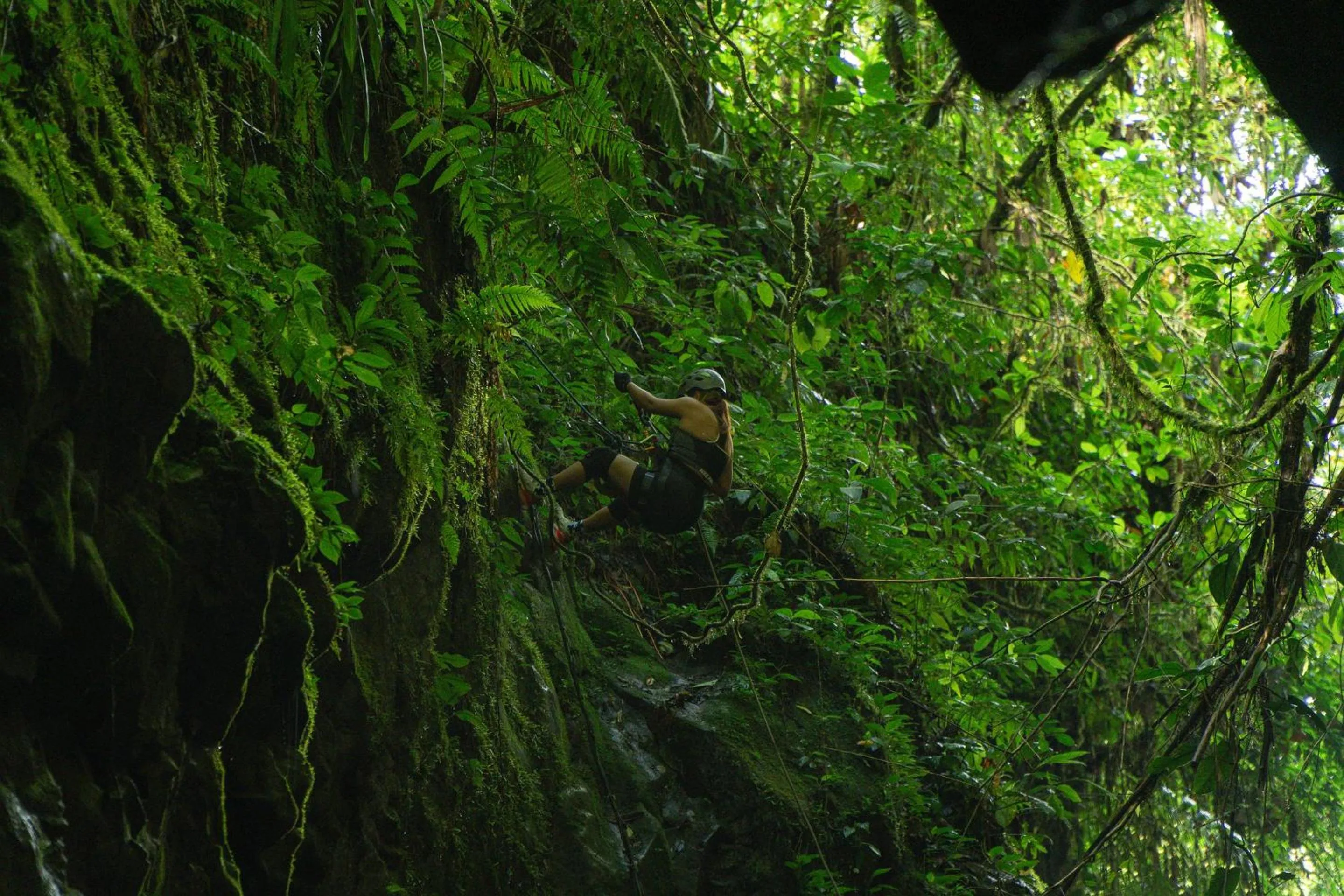 Natural landscape in Ecolirios Boutique Hotel & Villas