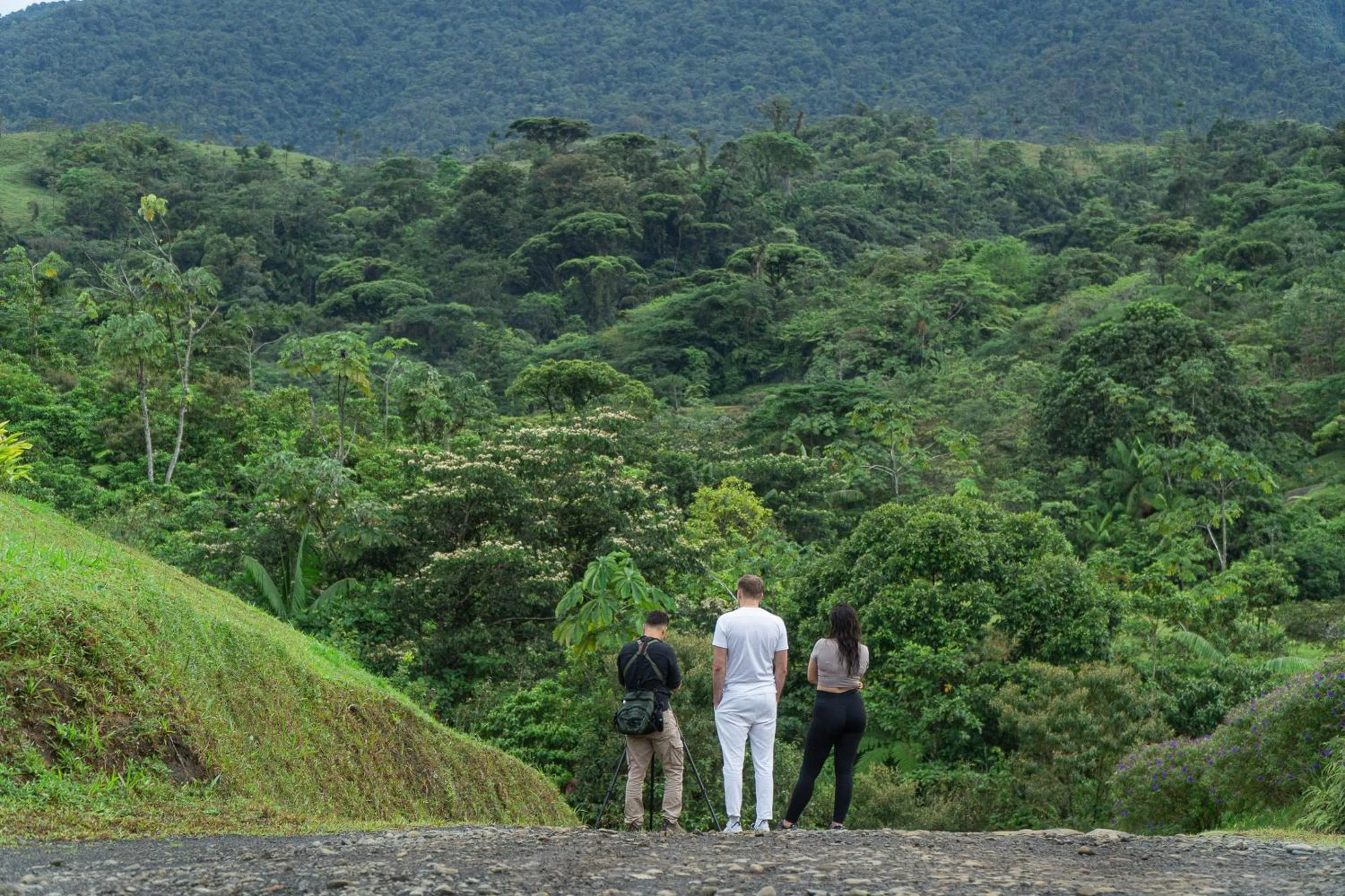 Natural landscape in Ecolirios Boutique Hotel & Villas