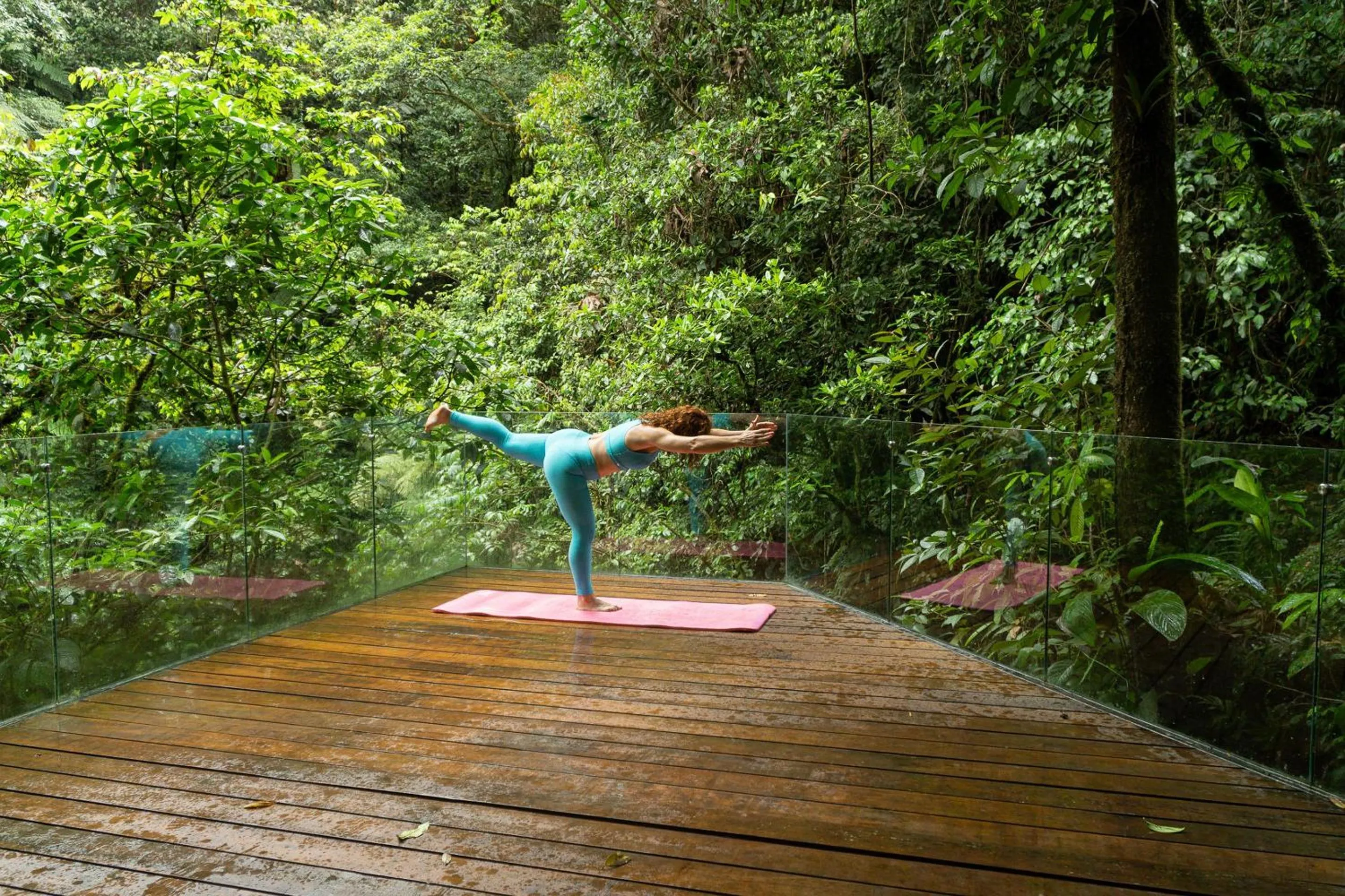 Natural landscape in Ecolirios Boutique Hotel & Villas