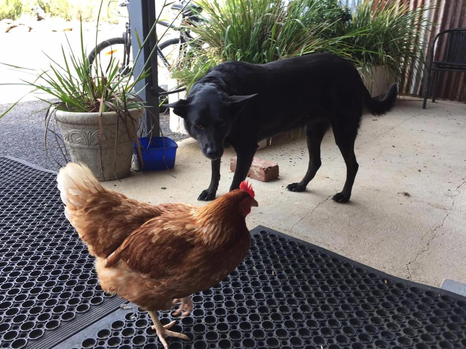 Property building in Hill End Lodge