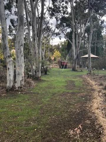 Natural landscape in Hill End Lodge