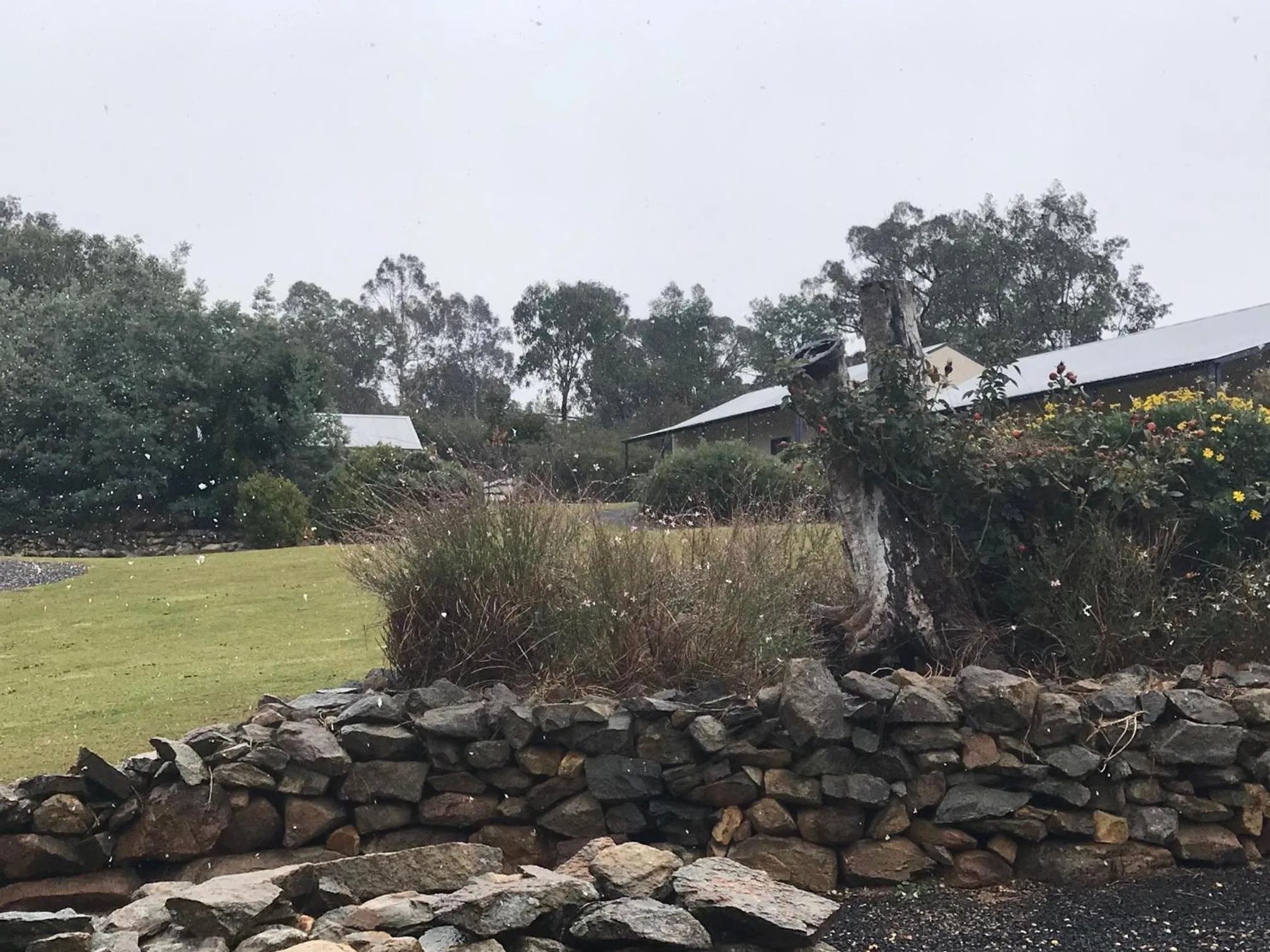 Garden in Hill End Lodge