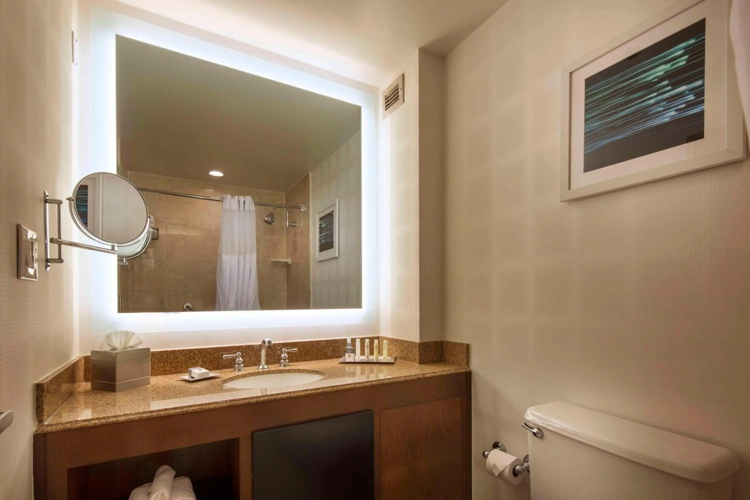 Bathroom in DoubleTree by Hilton Newark-Fremont