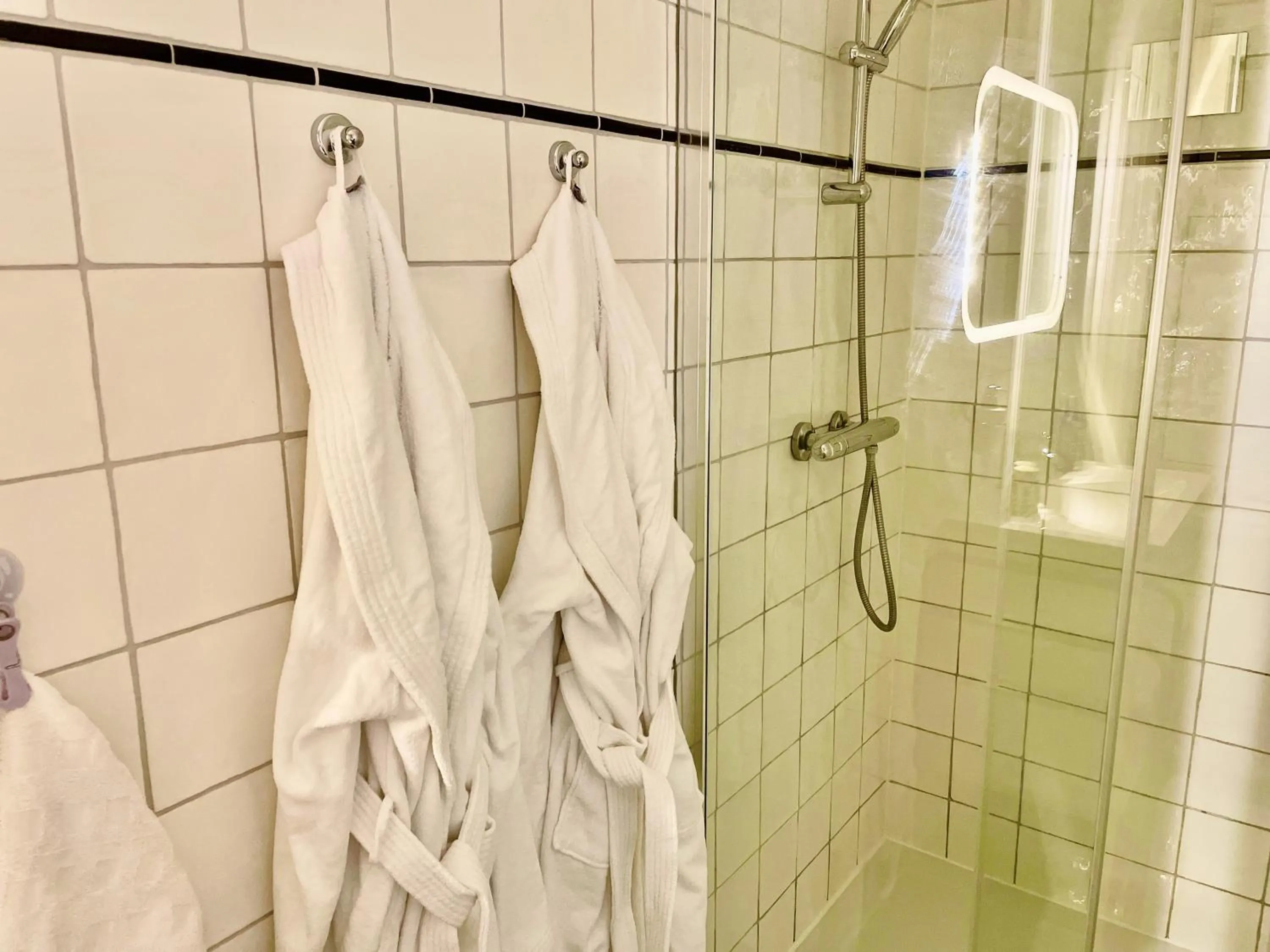 Shower in Bed and Breakfast Rotterdam