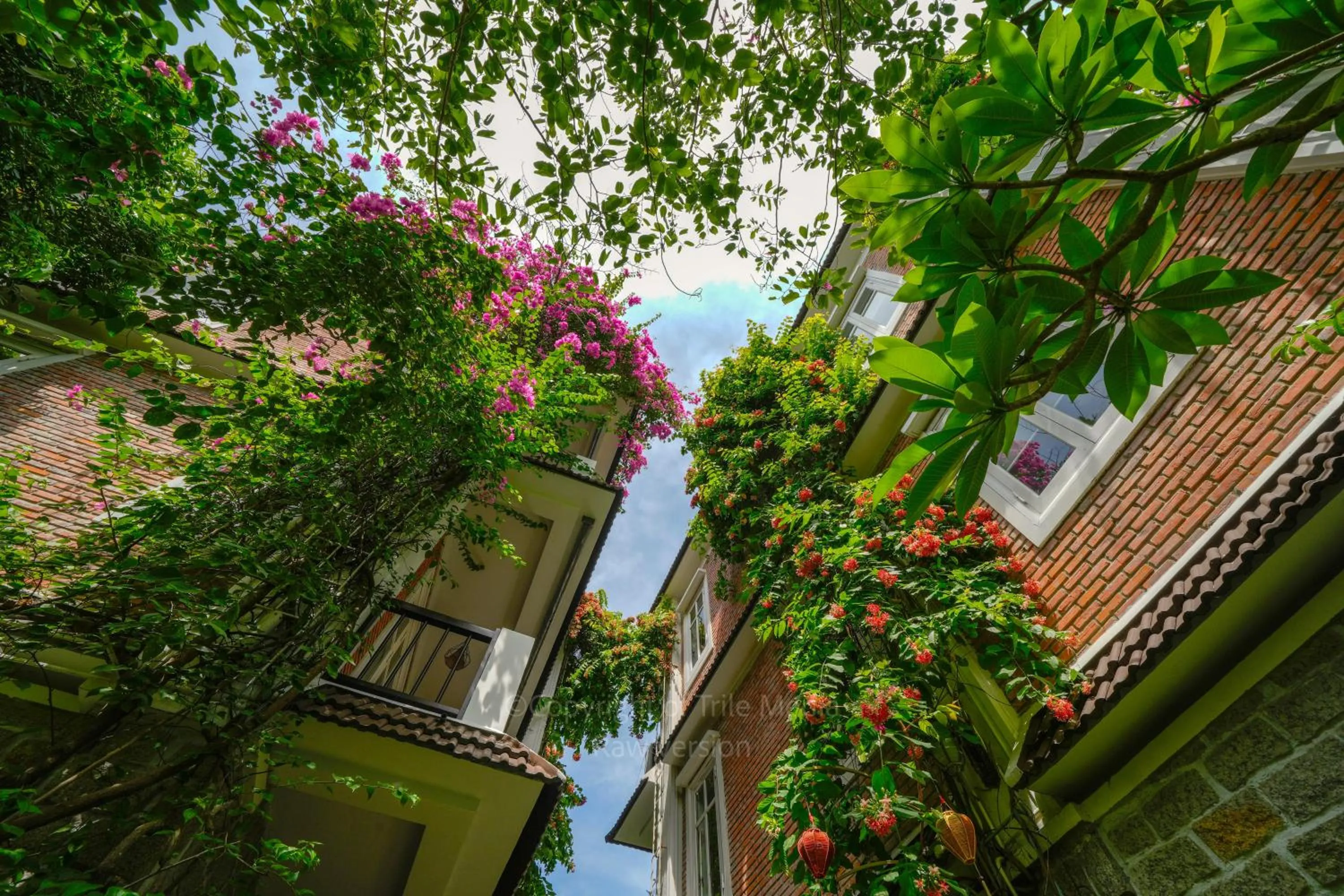 Garden in Ancient Garden Boutique Hoi An