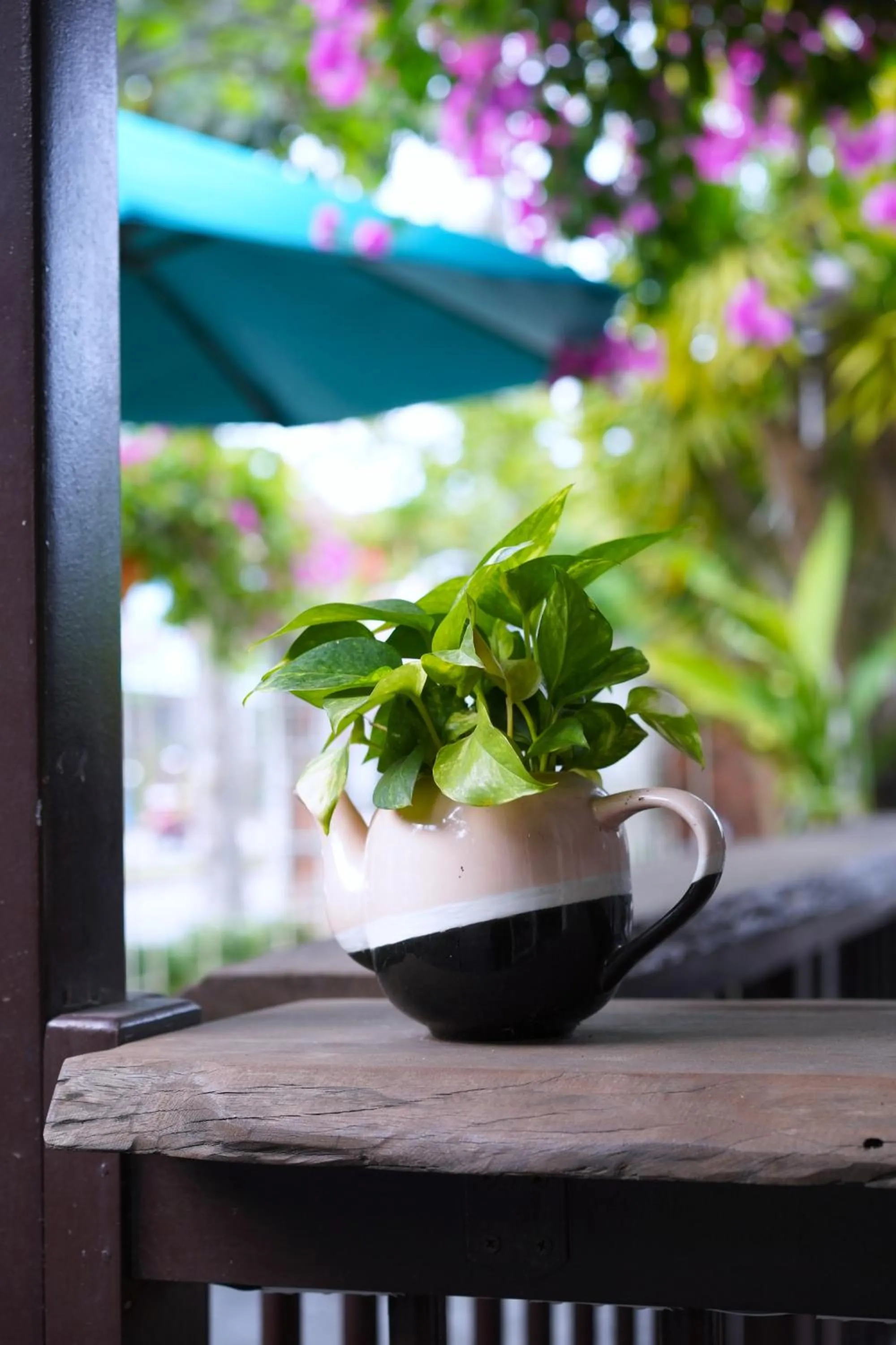 Lobby or reception in Ancient Garden Boutique Hoi An