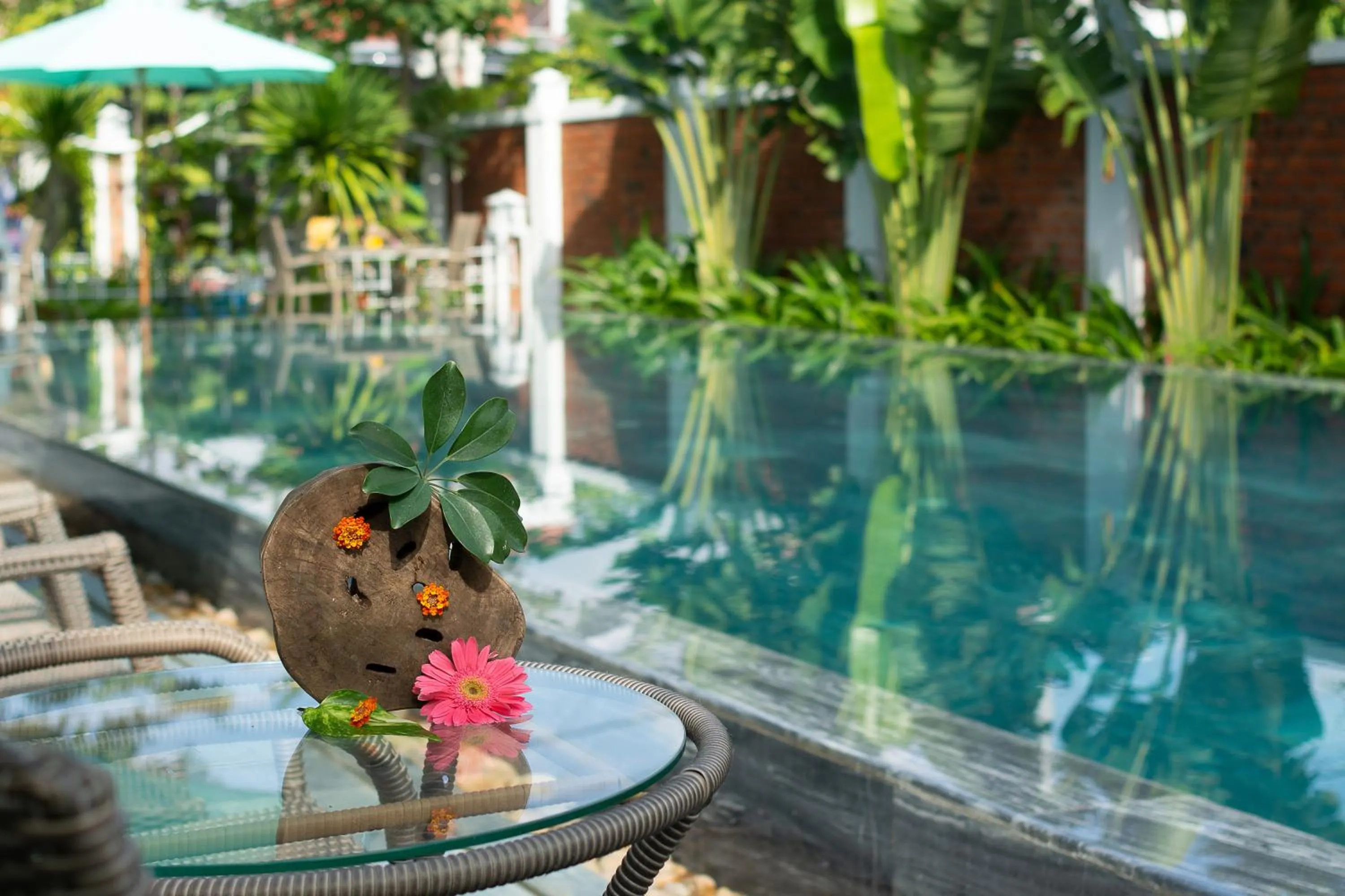Swimming pool in Blooms Boutique Village