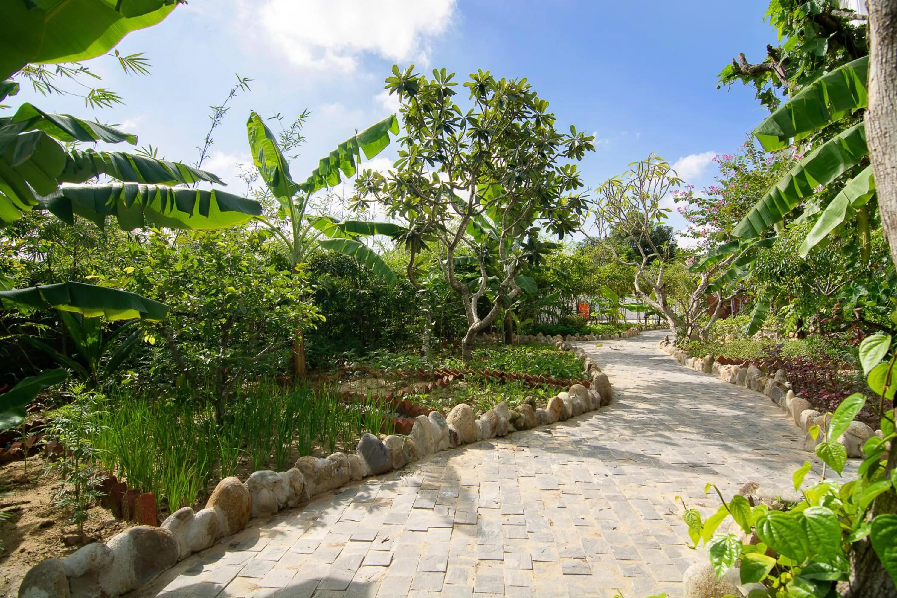 Garden in Blooms Boutique Village