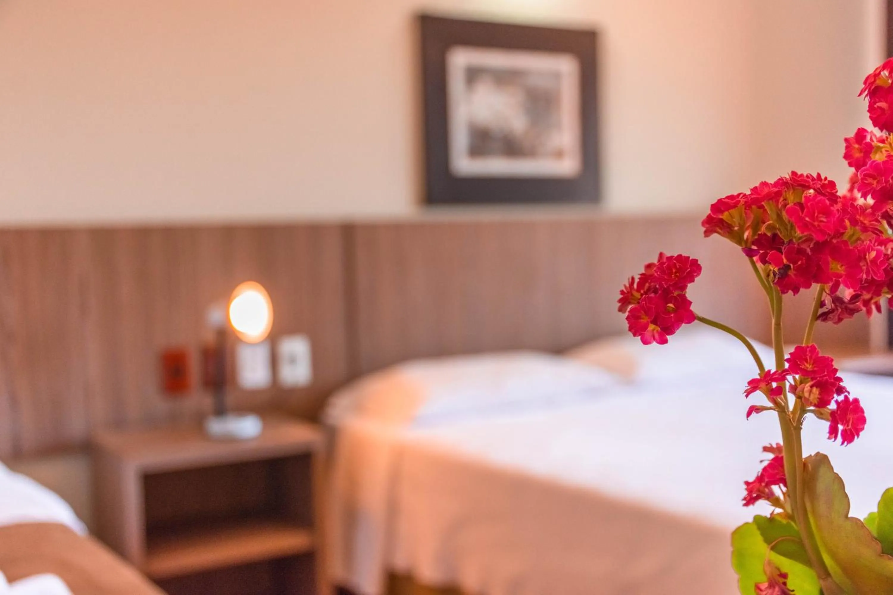 Bed in Ferrujão Pousada e Restaurante