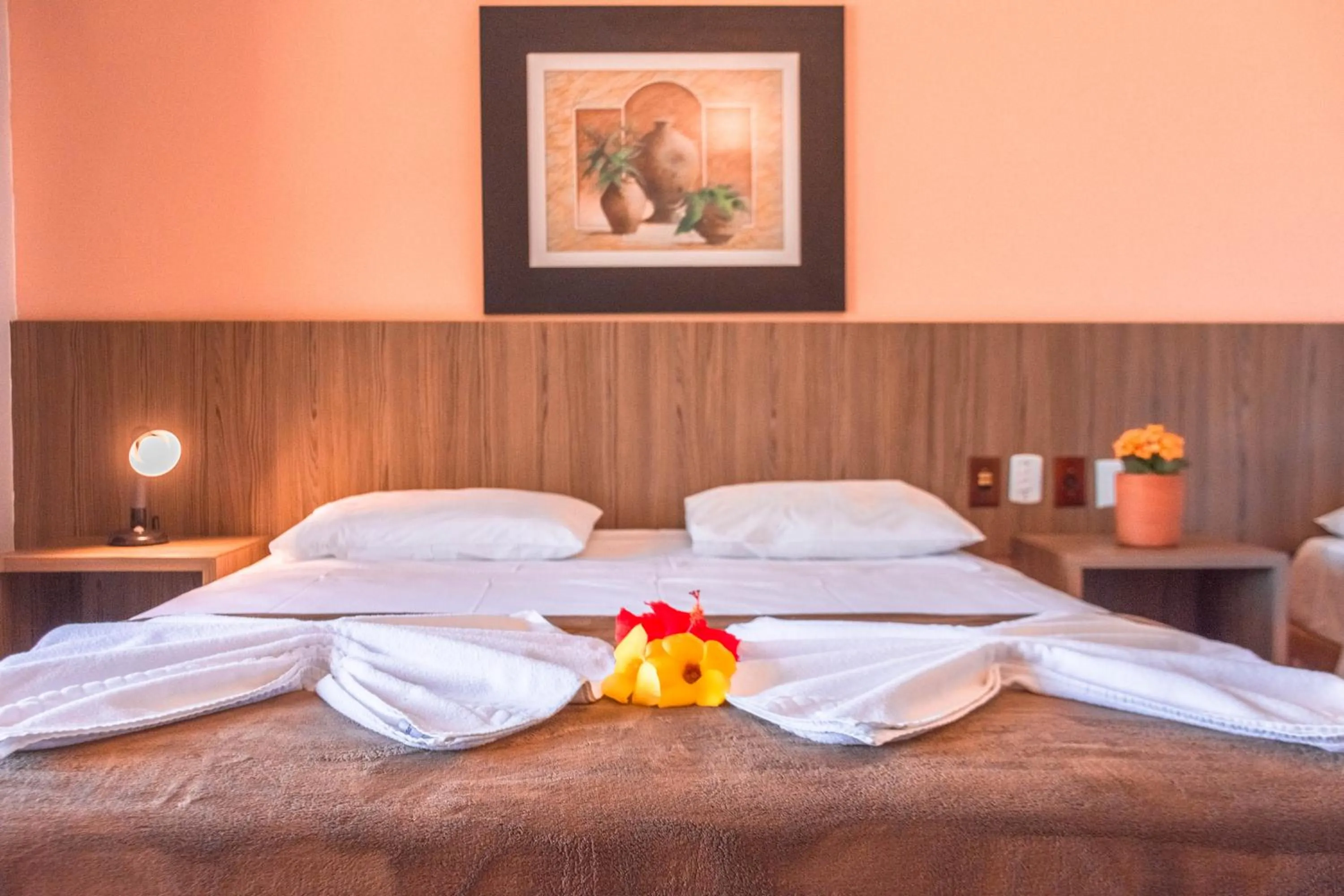 Bed in Ferrujão Pousada e Restaurante