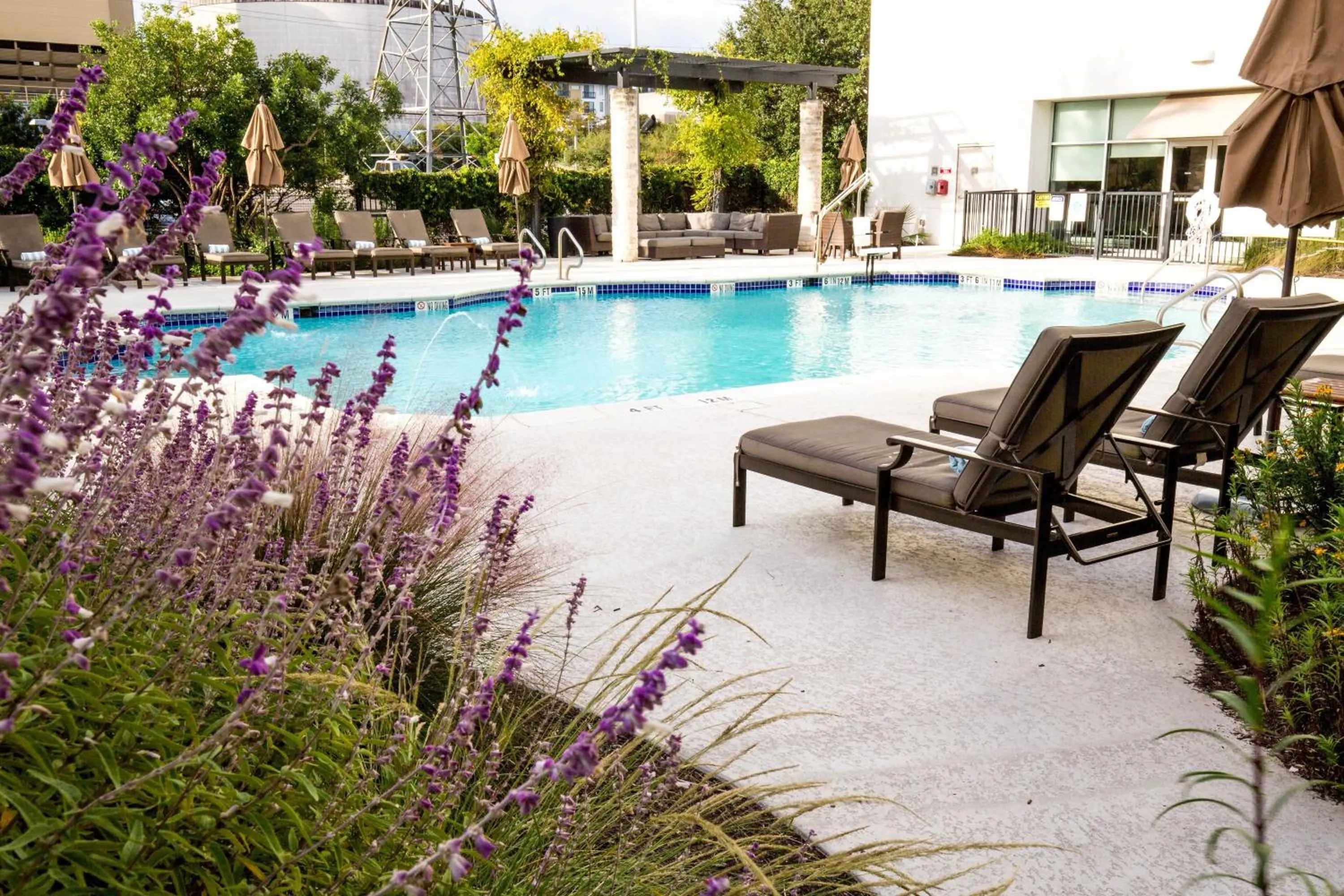 Swimming pool in The Westin Austin at The Domain