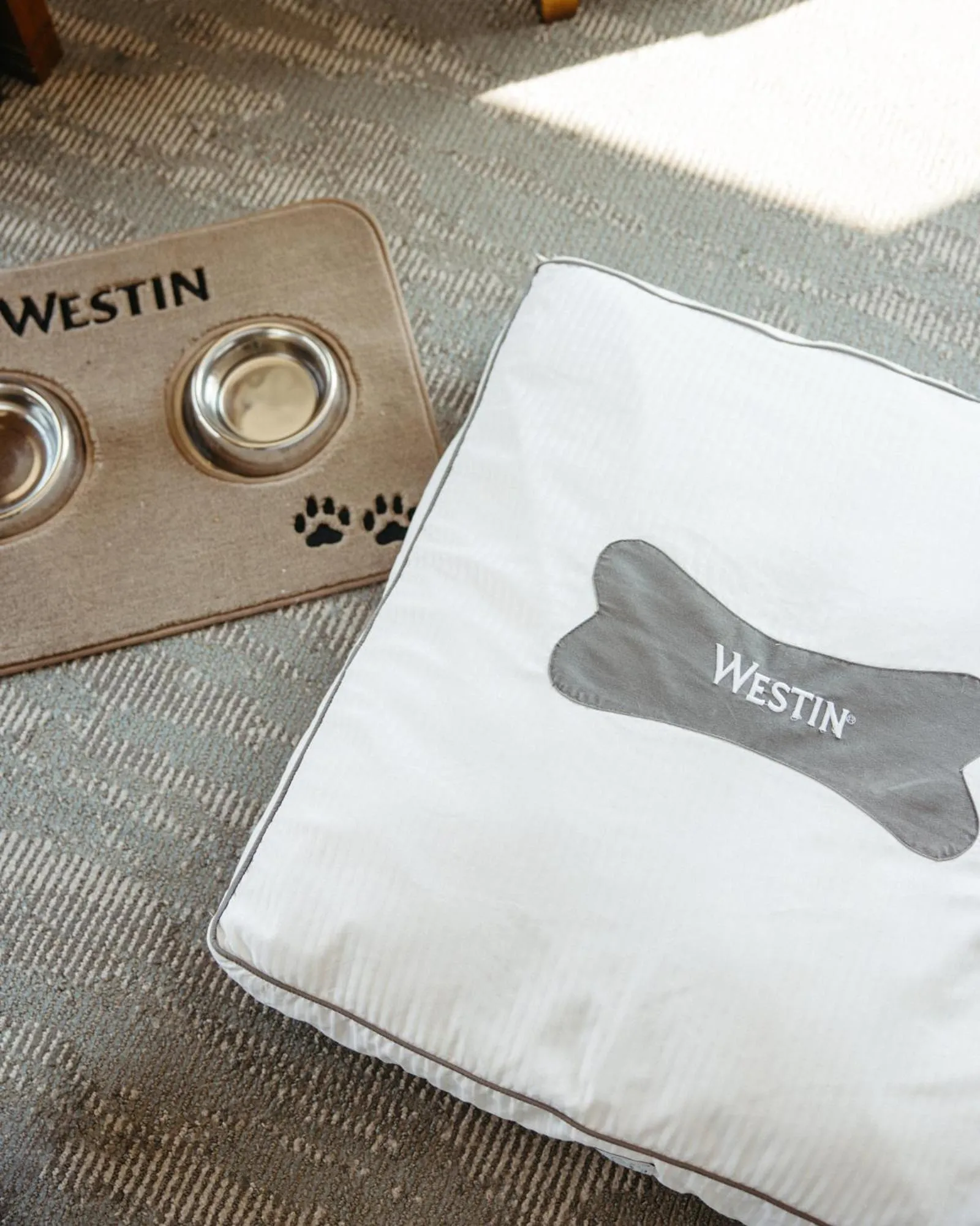 Pets in The Westin Austin at The Domain