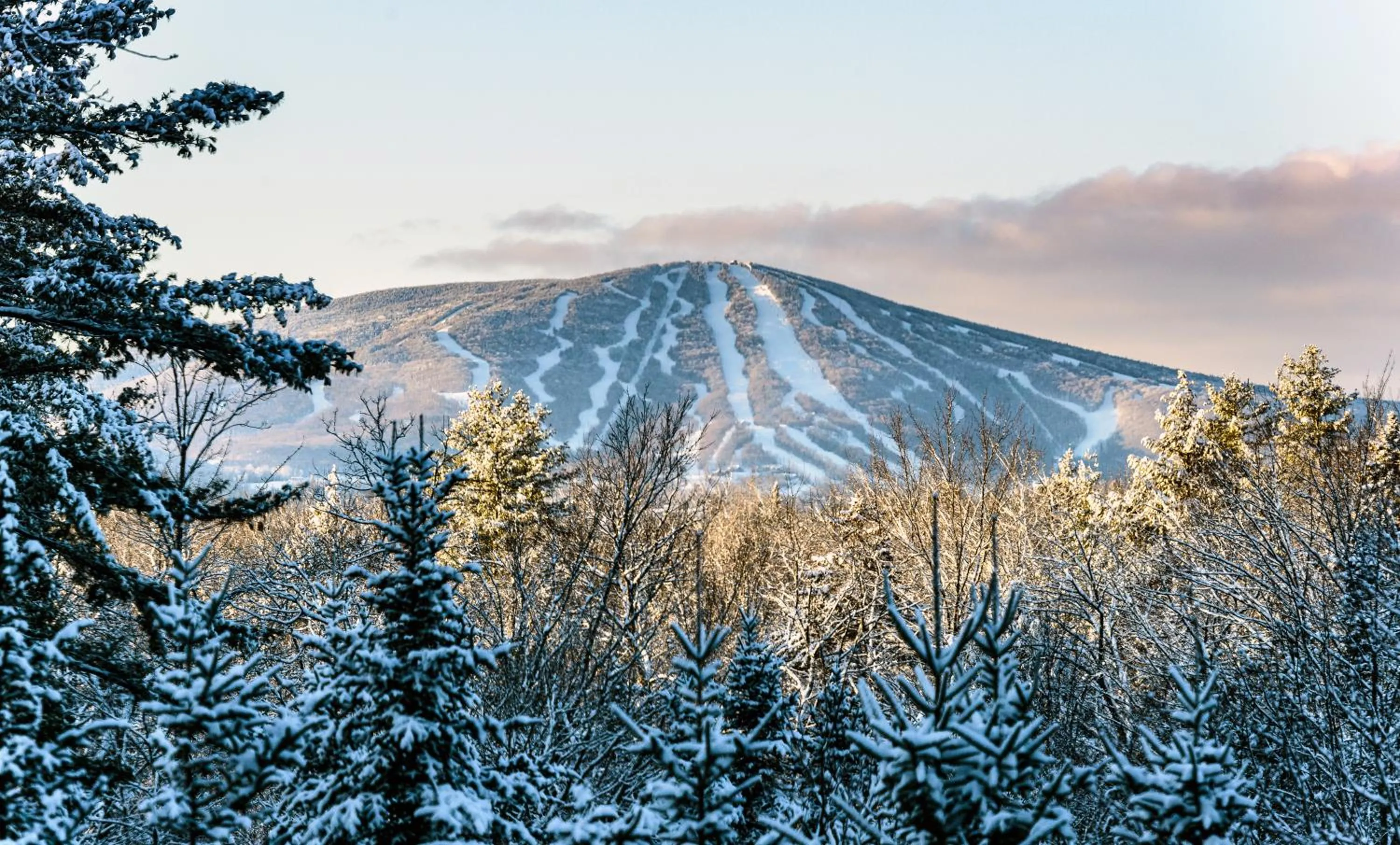 Natural landscape in The Black Bear Lodge at Stratton Mountain Resort