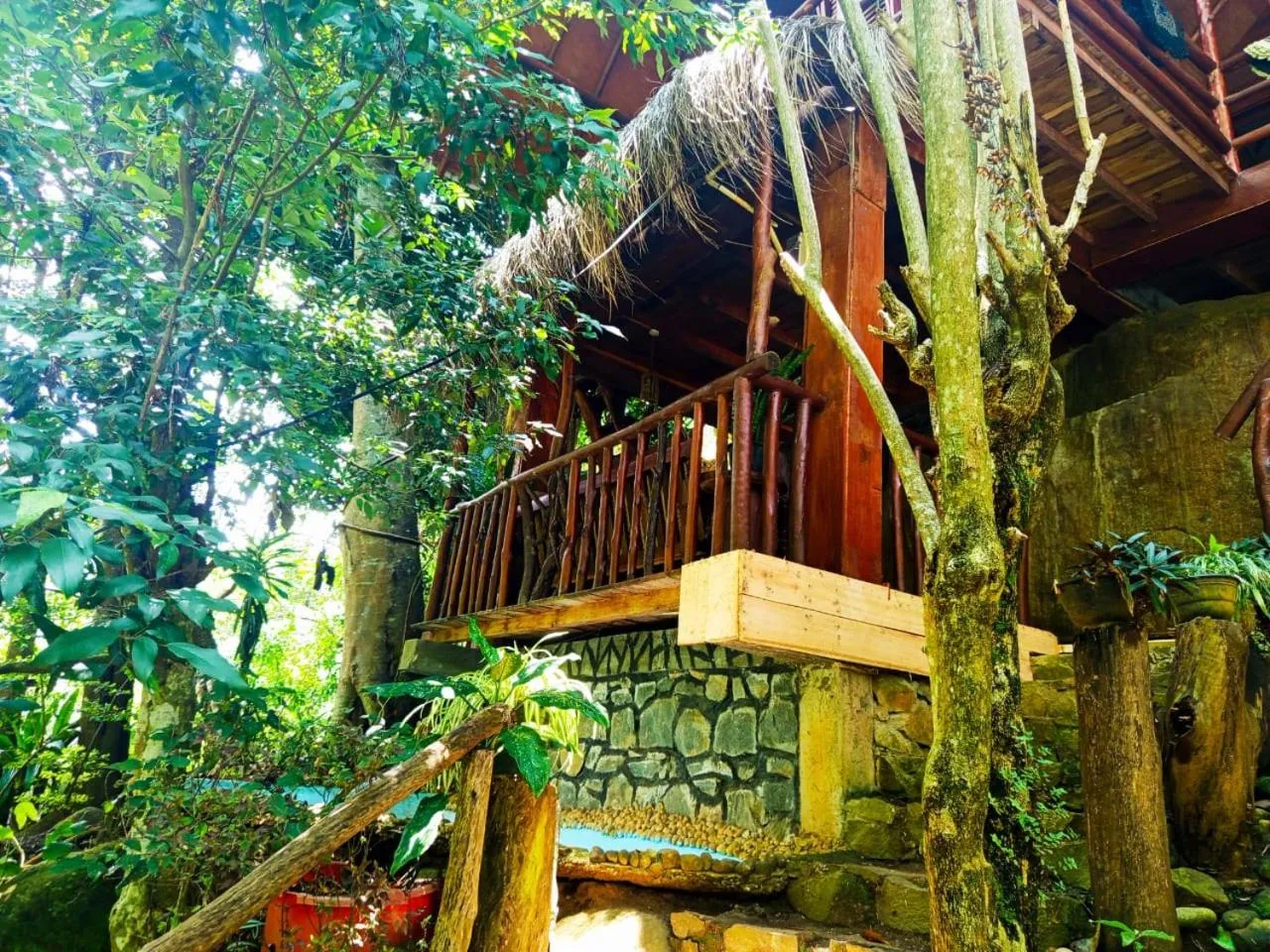 Natural landscape in Jungle Face Inn