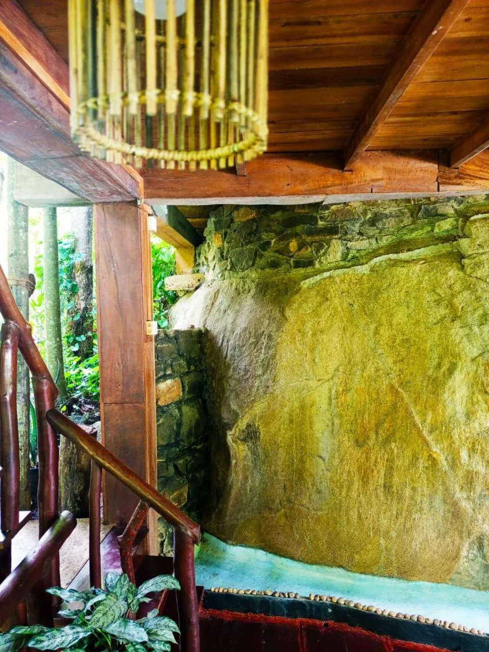 Natural landscape in Jungle Face Inn