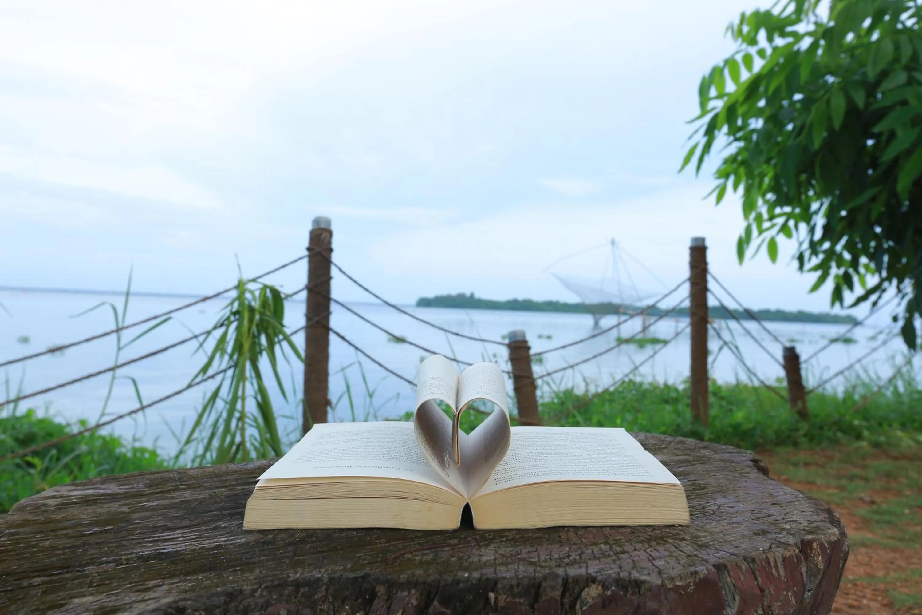 Deshadan Backwater Resort - The best sunrise view