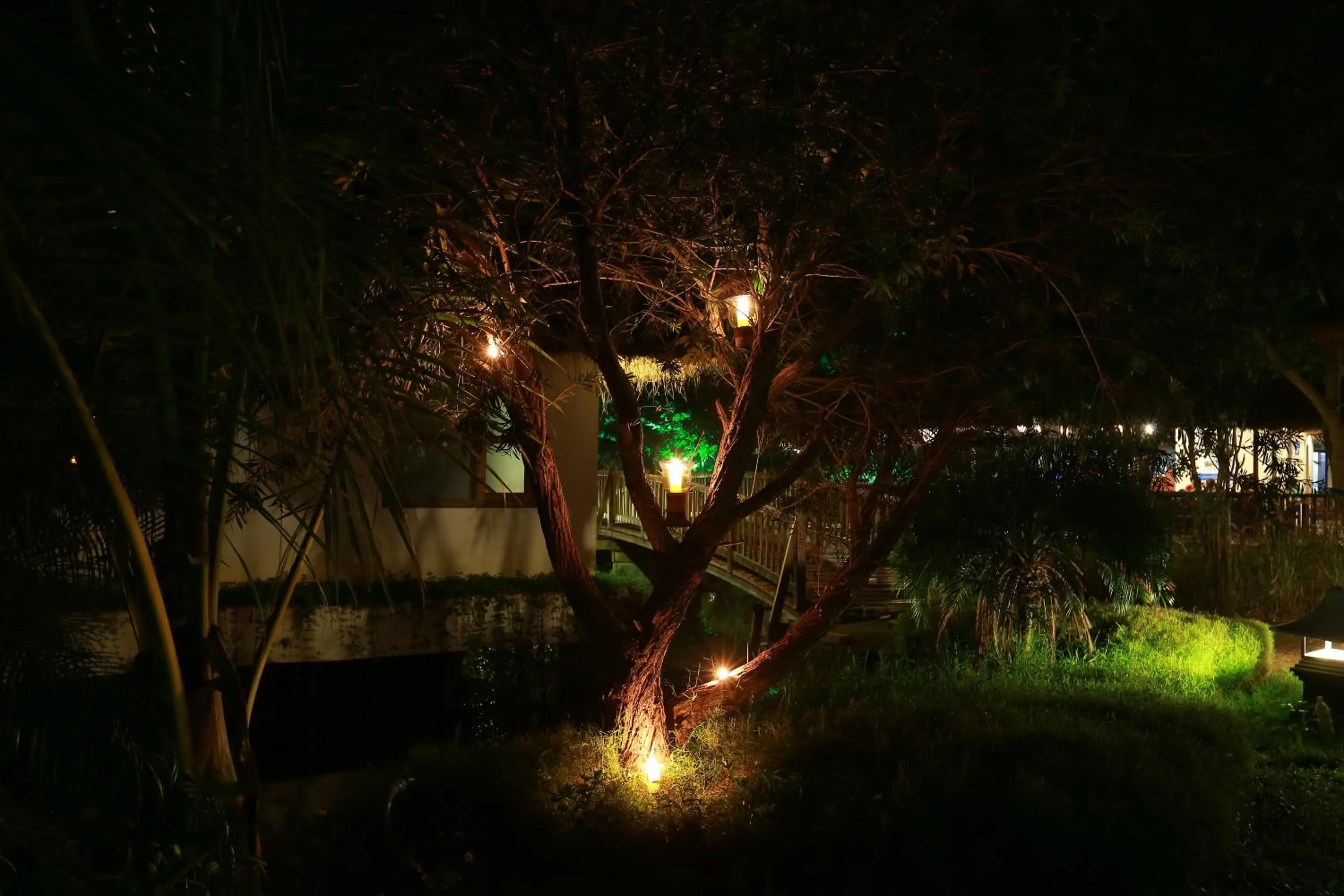 Deshadan Backwater Resort - The best sunrise view