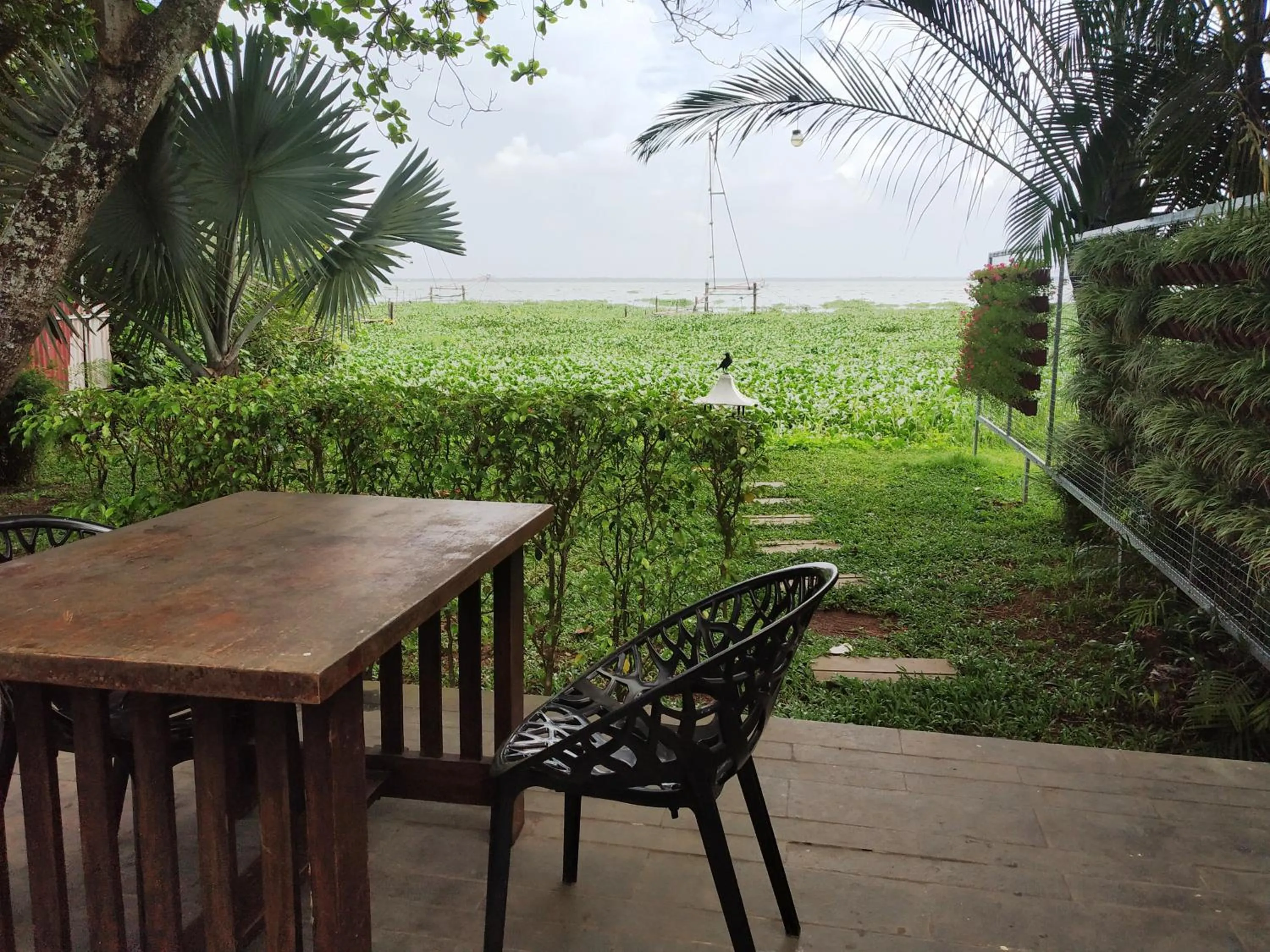 Garden view in Deshadan Backwater Resort - The best sunrise view