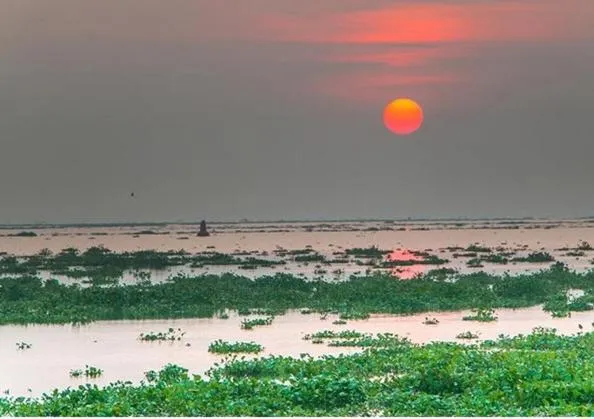 Deshadan Backwater Resort - The best sunrise view