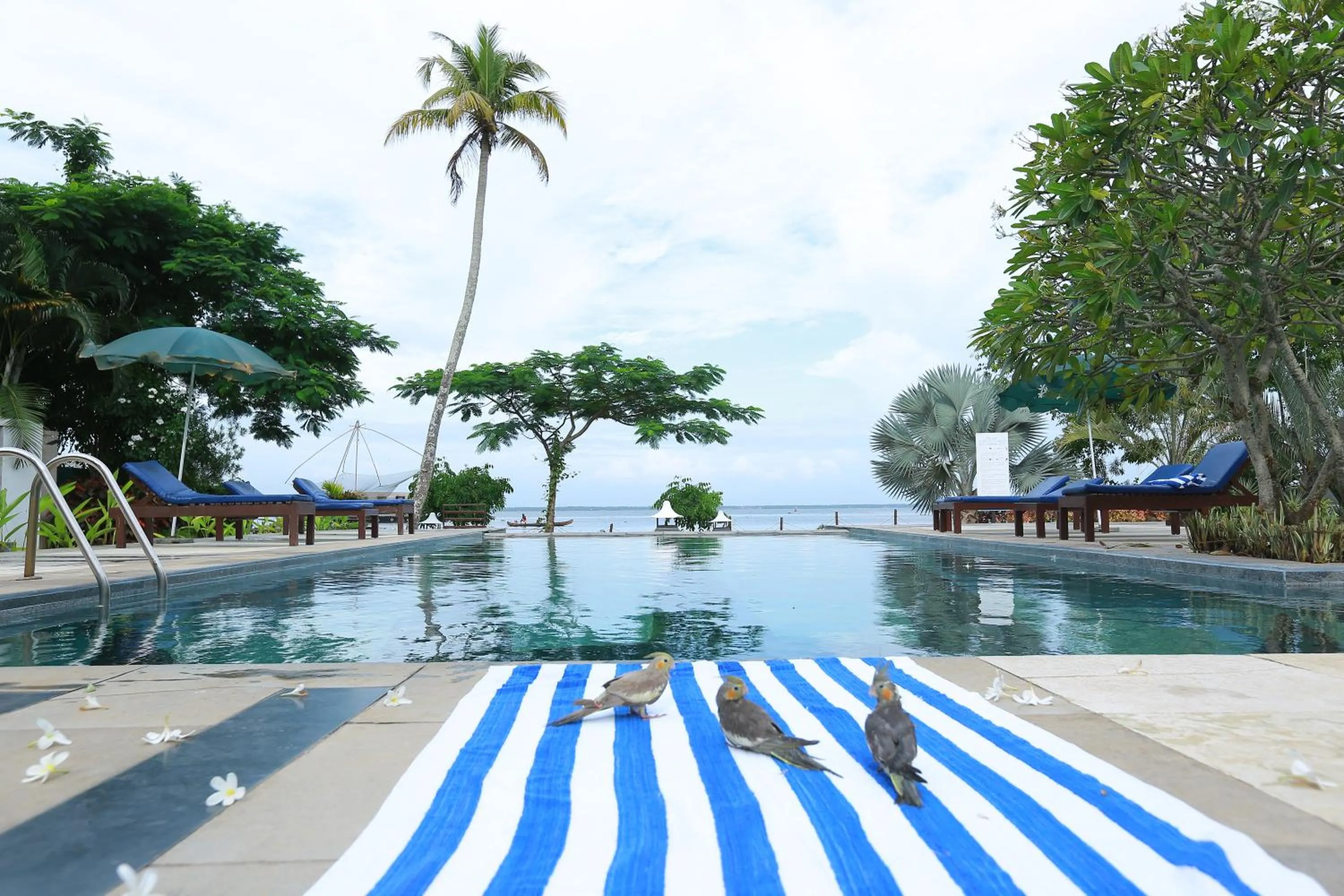 Deshadan Backwater Resort - The best sunrise view