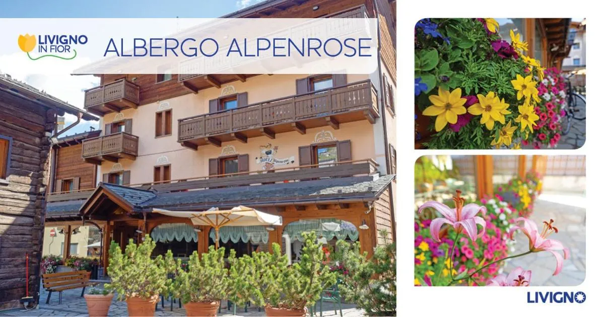 Property building in Albergo Alpenrose