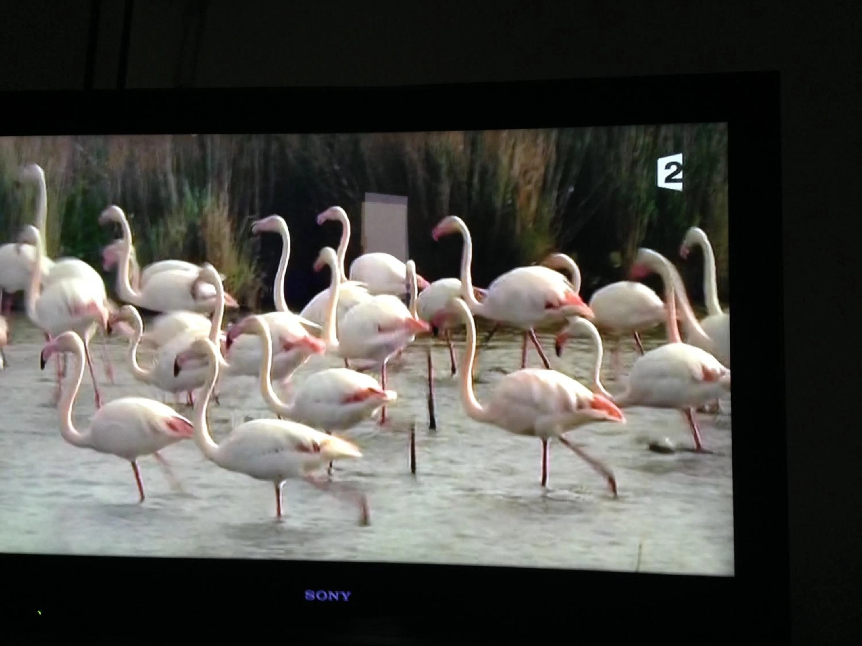 La Maison du Peintre en Provence