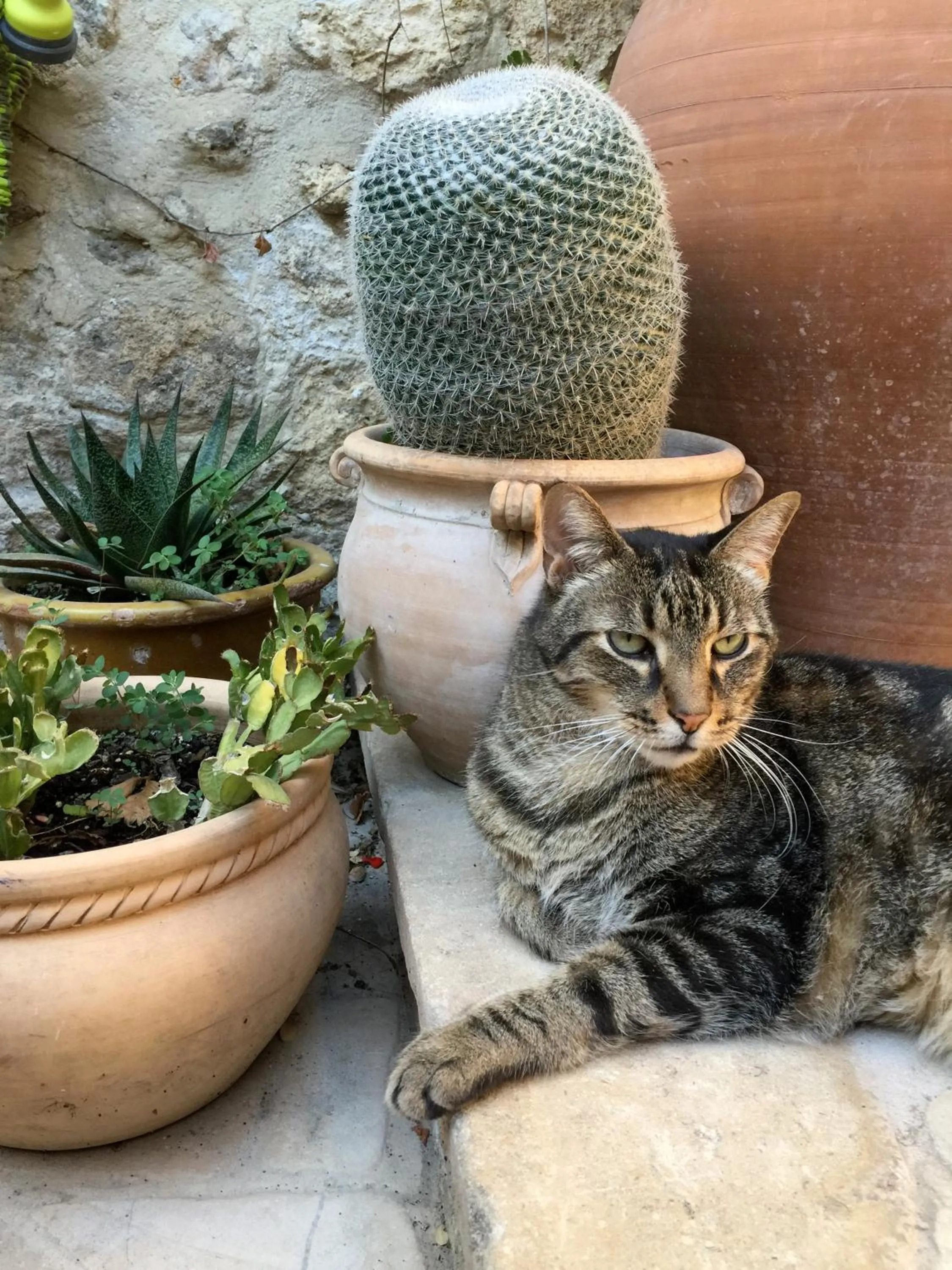 La Maison du Peintre en Provence