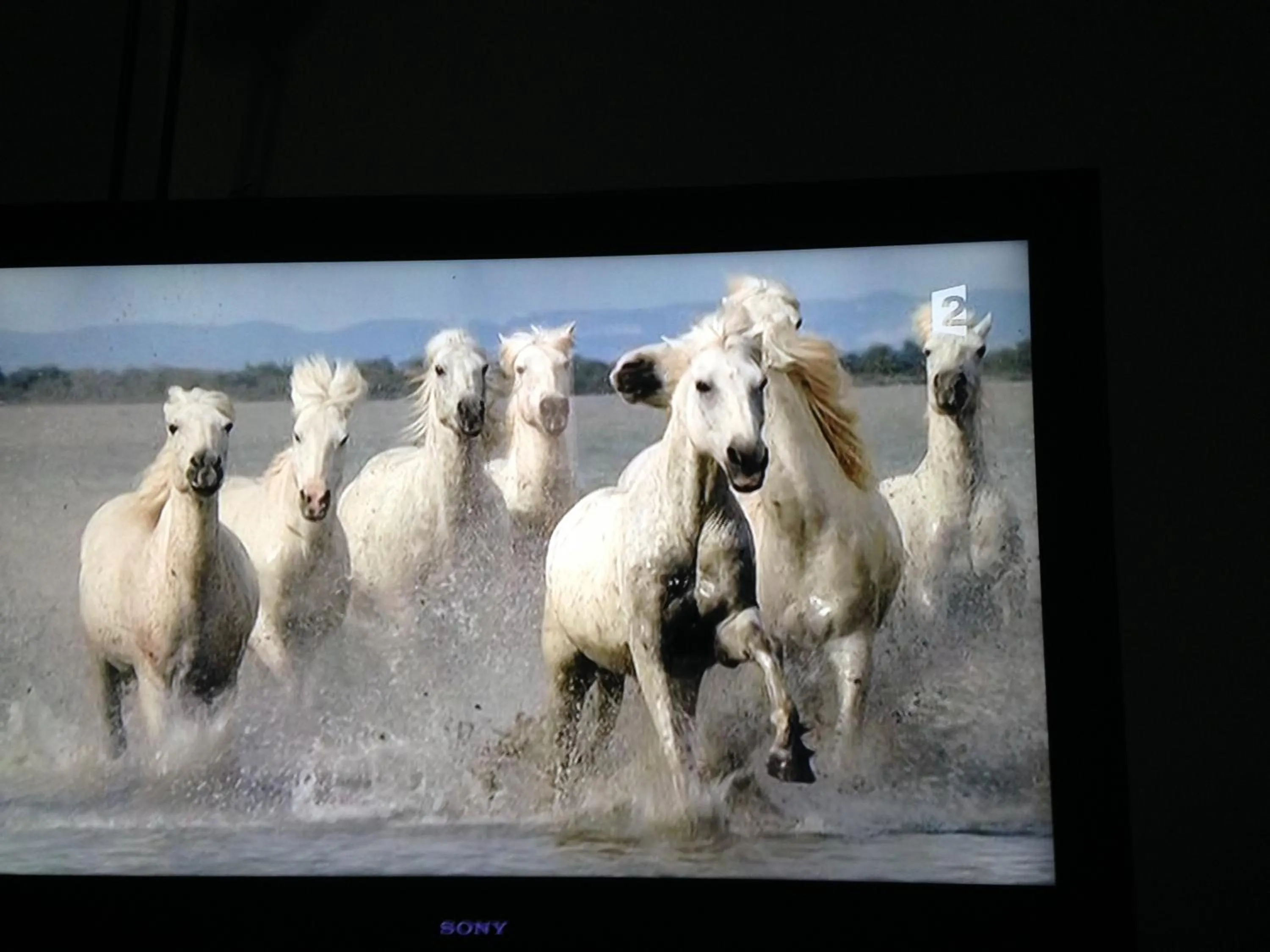 La Maison du Peintre en Provence