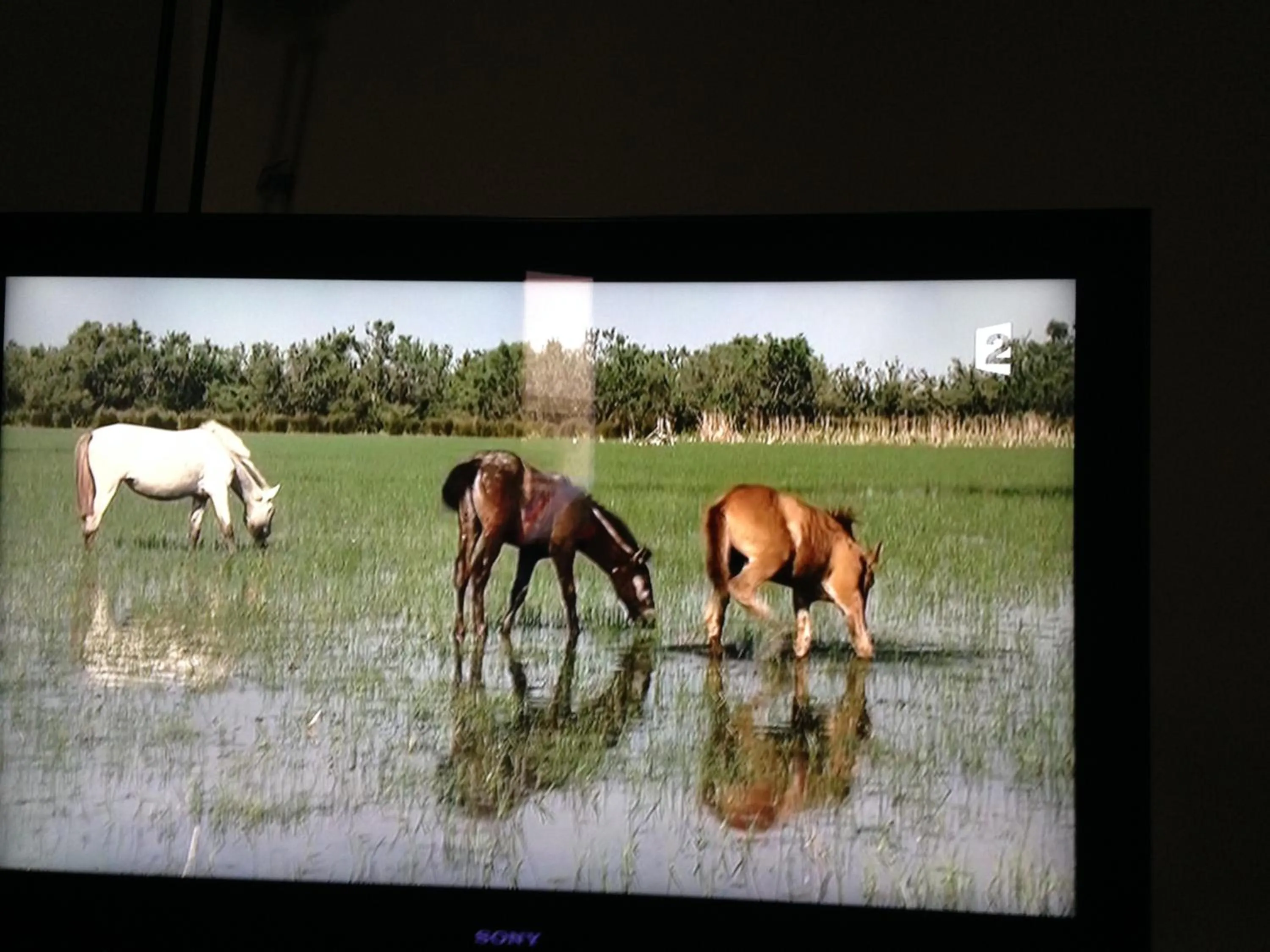 La Maison du Peintre en Provence