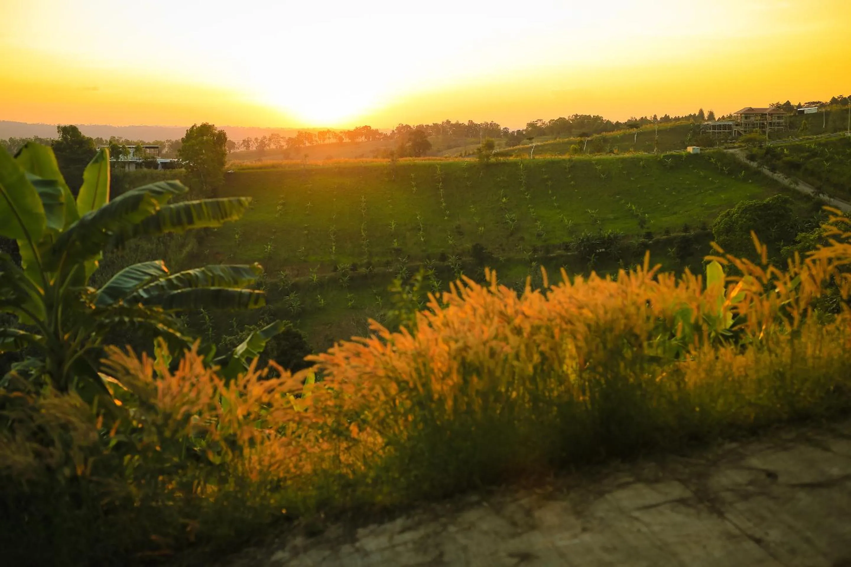 Sunset in Villa PaSon