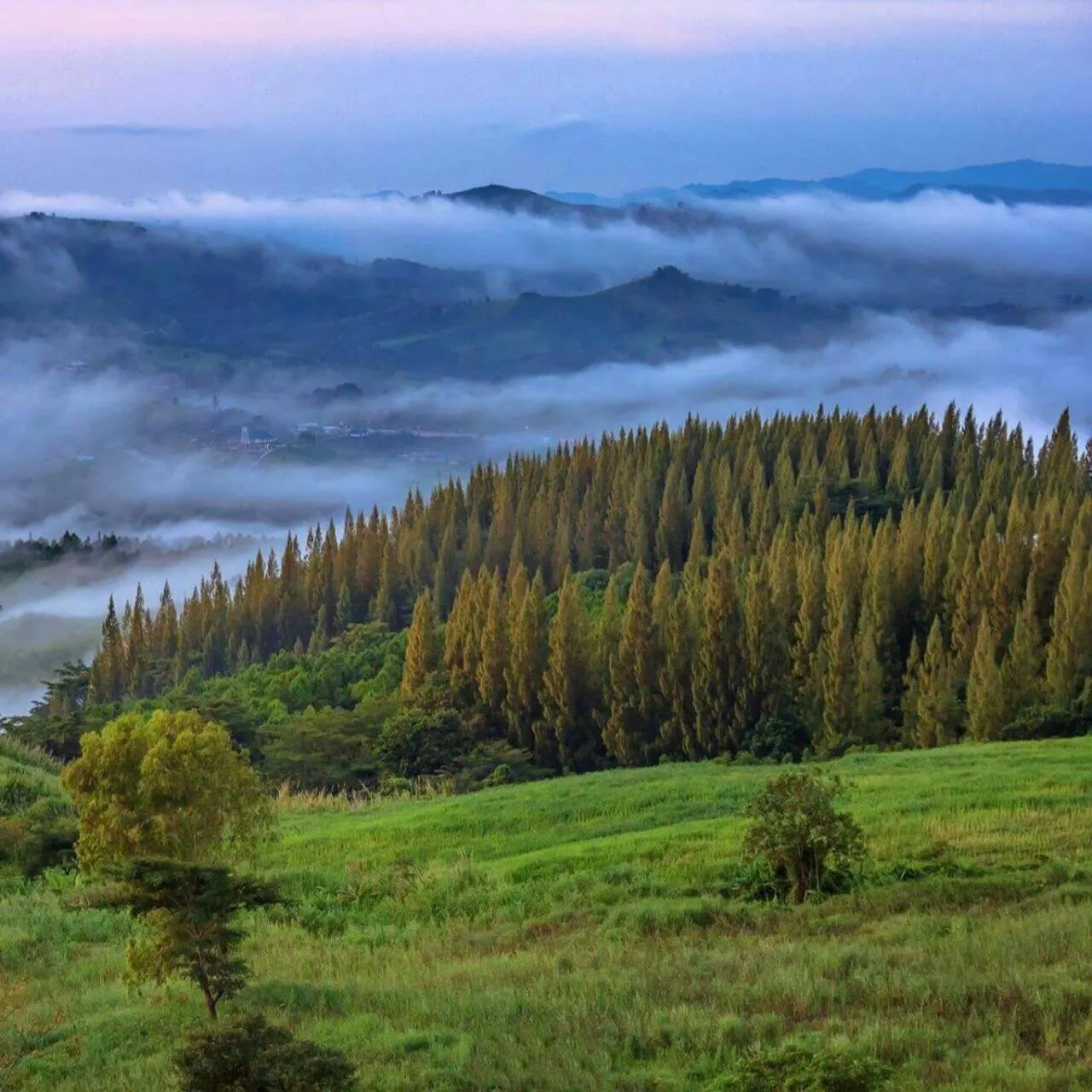 Natural landscape in Villa PaSon