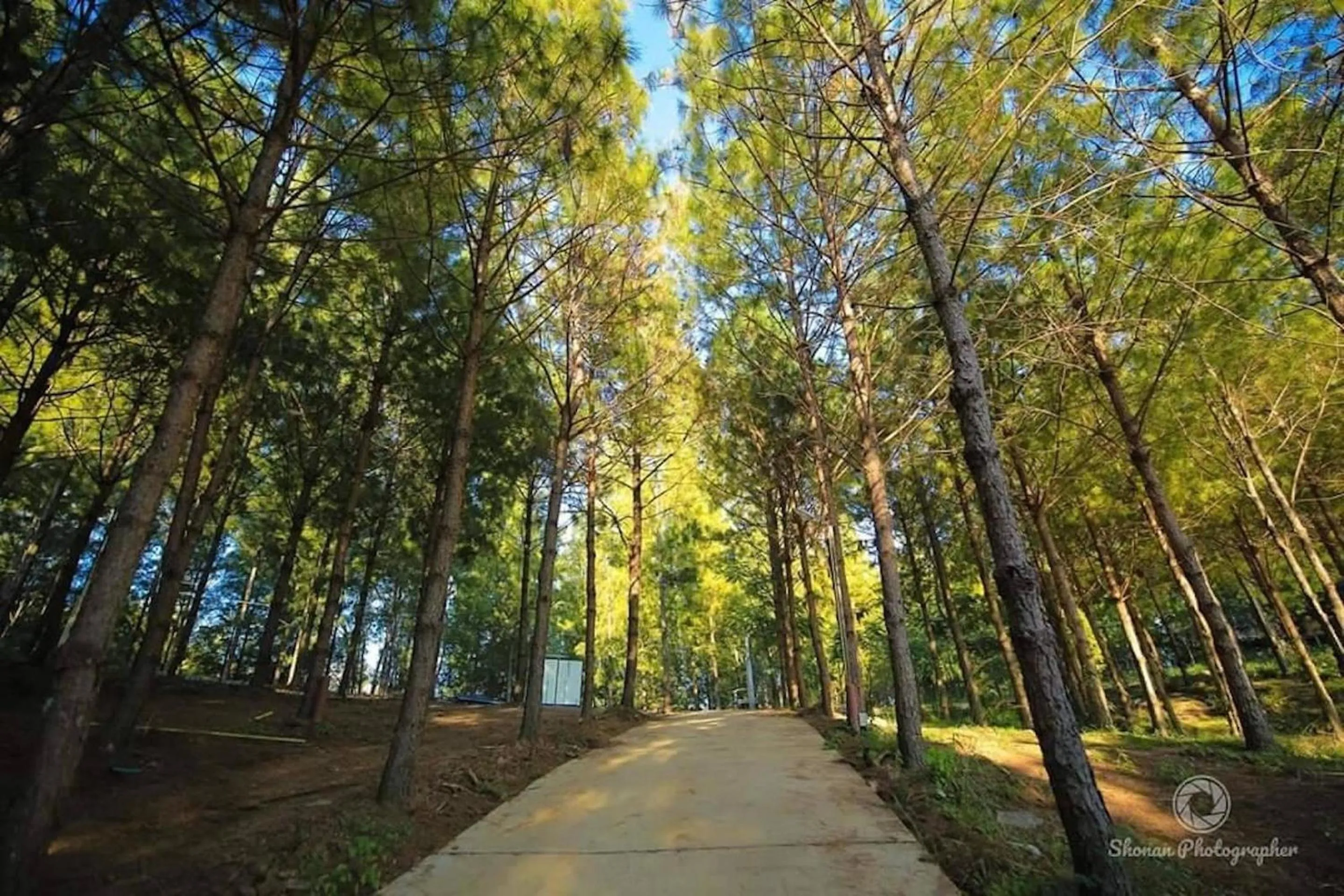 Natural landscape in Villa PaSon