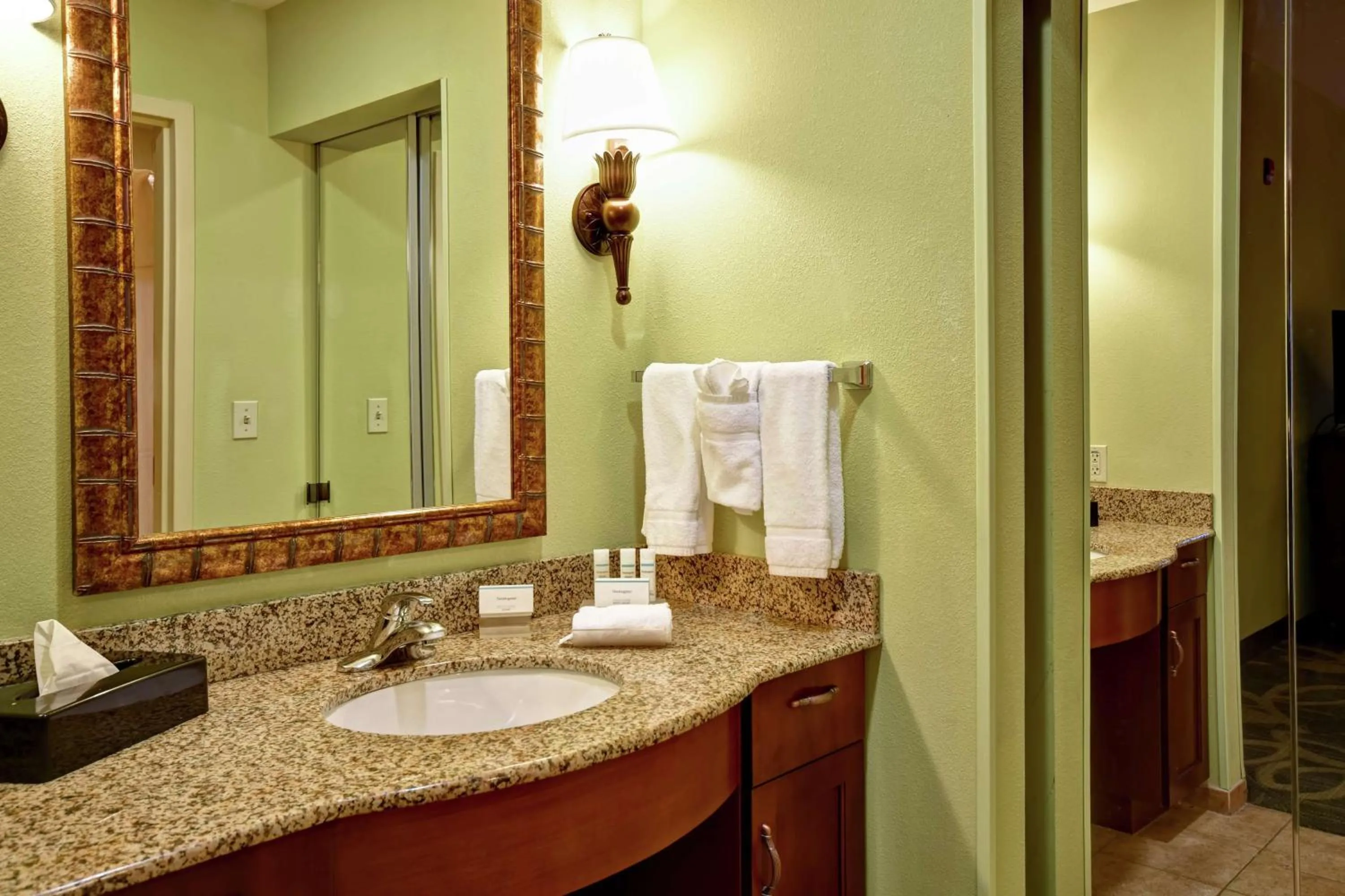 Bathroom in Homewood Suites by Hilton Ocala at Heath Brook