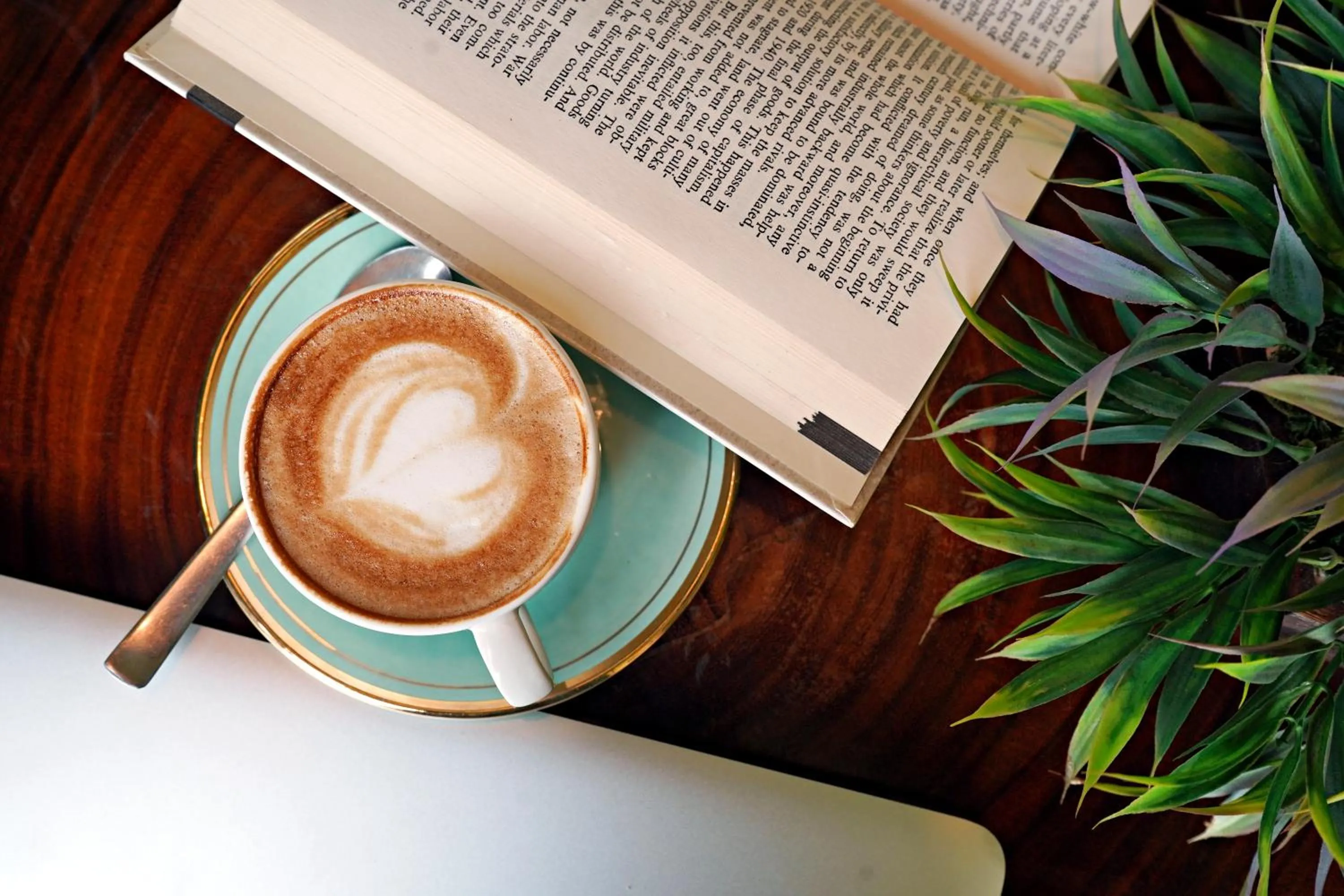 Food and drinks in The Orion Plaza - Nehru Place