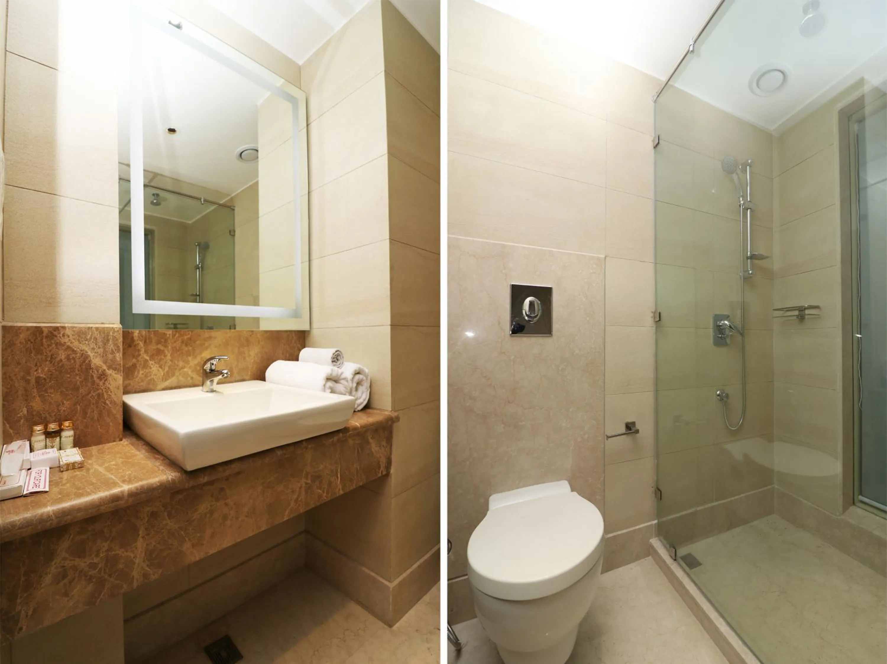 Bathroom in The Orion Plaza - Nehru Place