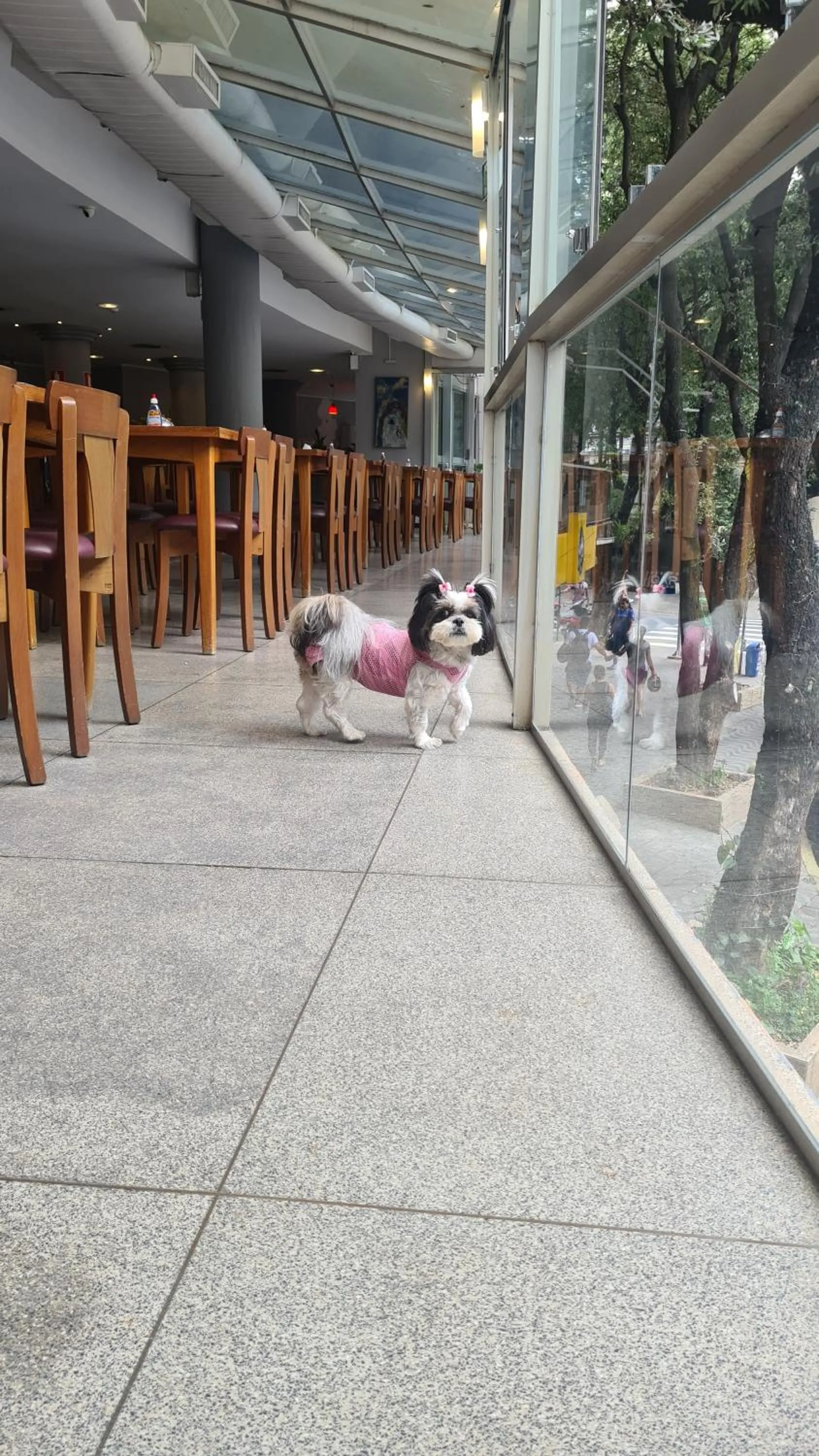 Pets in Realminas Hotel e Restaurante