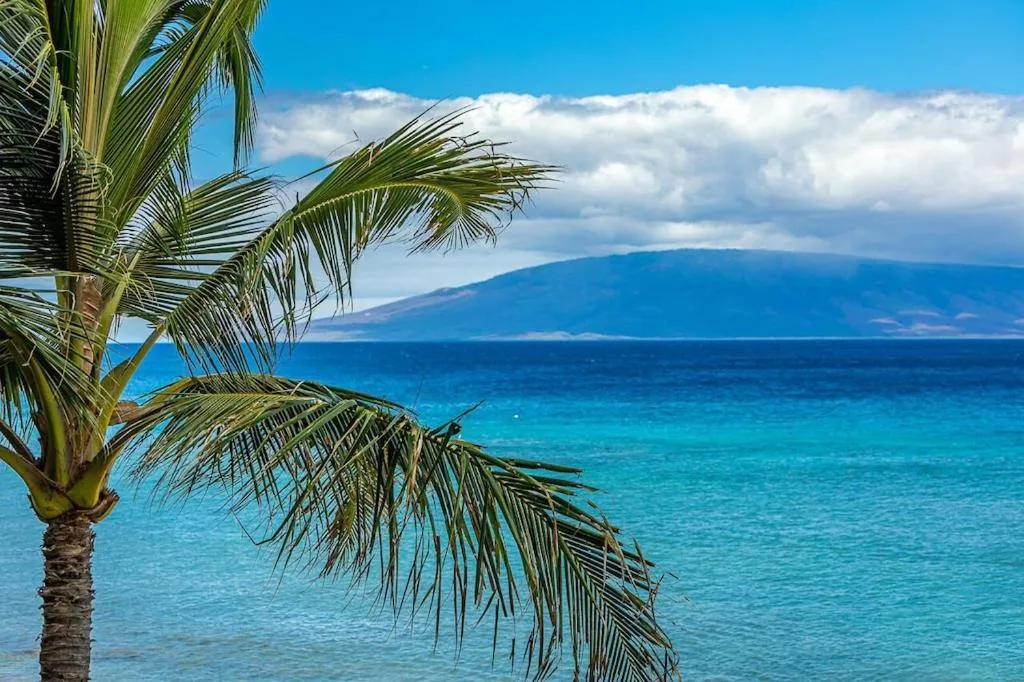 Sea view in Mahana 316