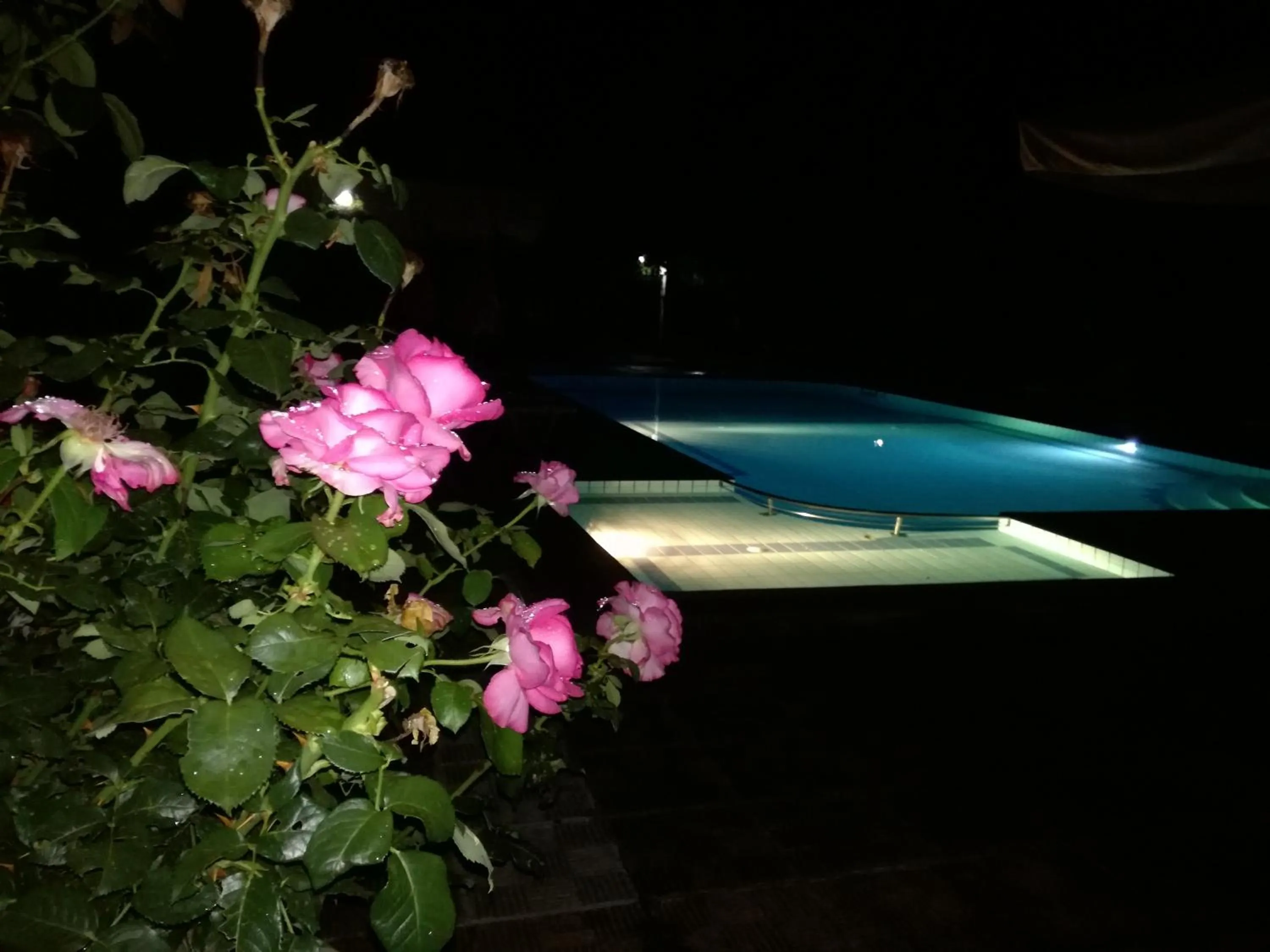 On site in Prespa Resort & Spa