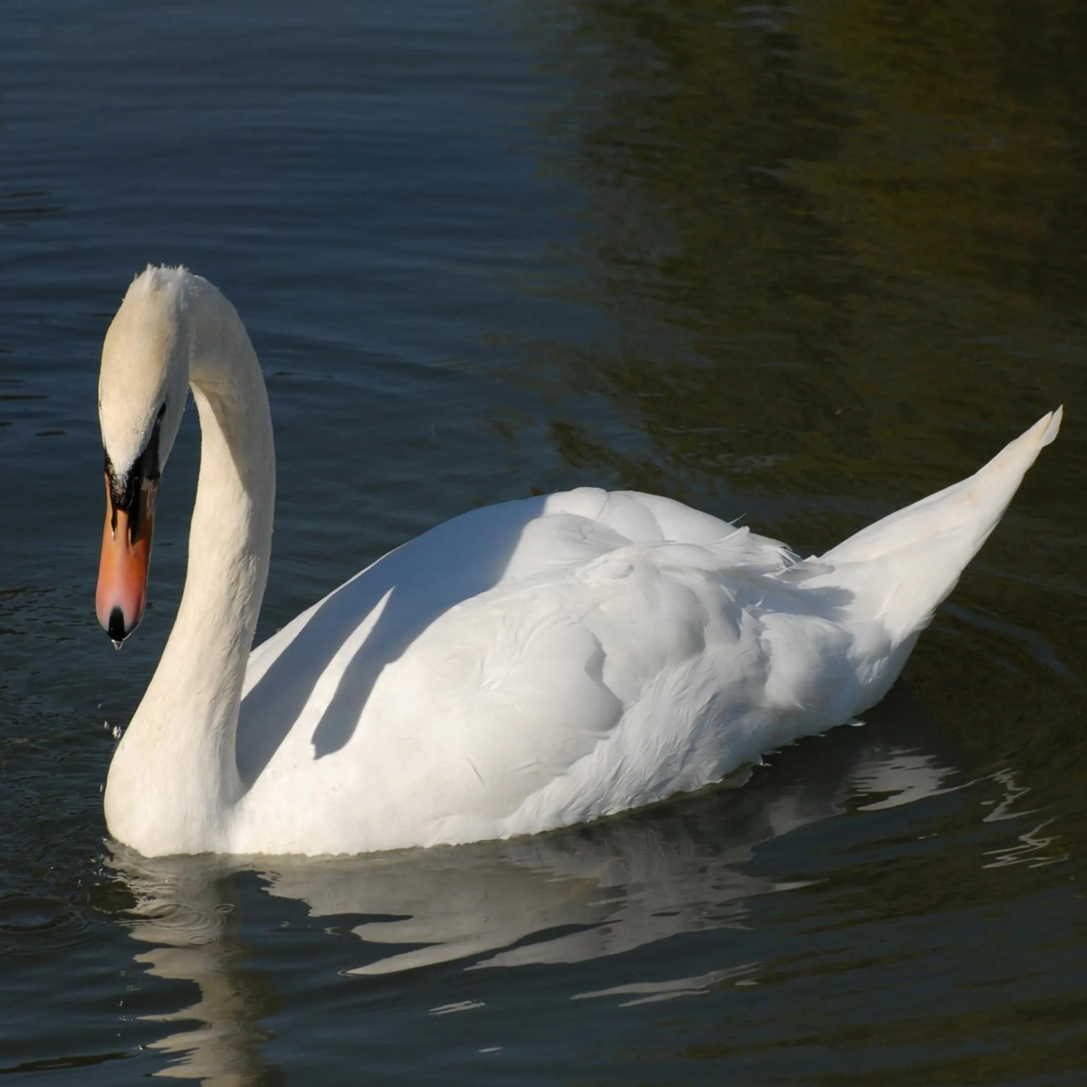 Facade/entrance in Hotel Novarello