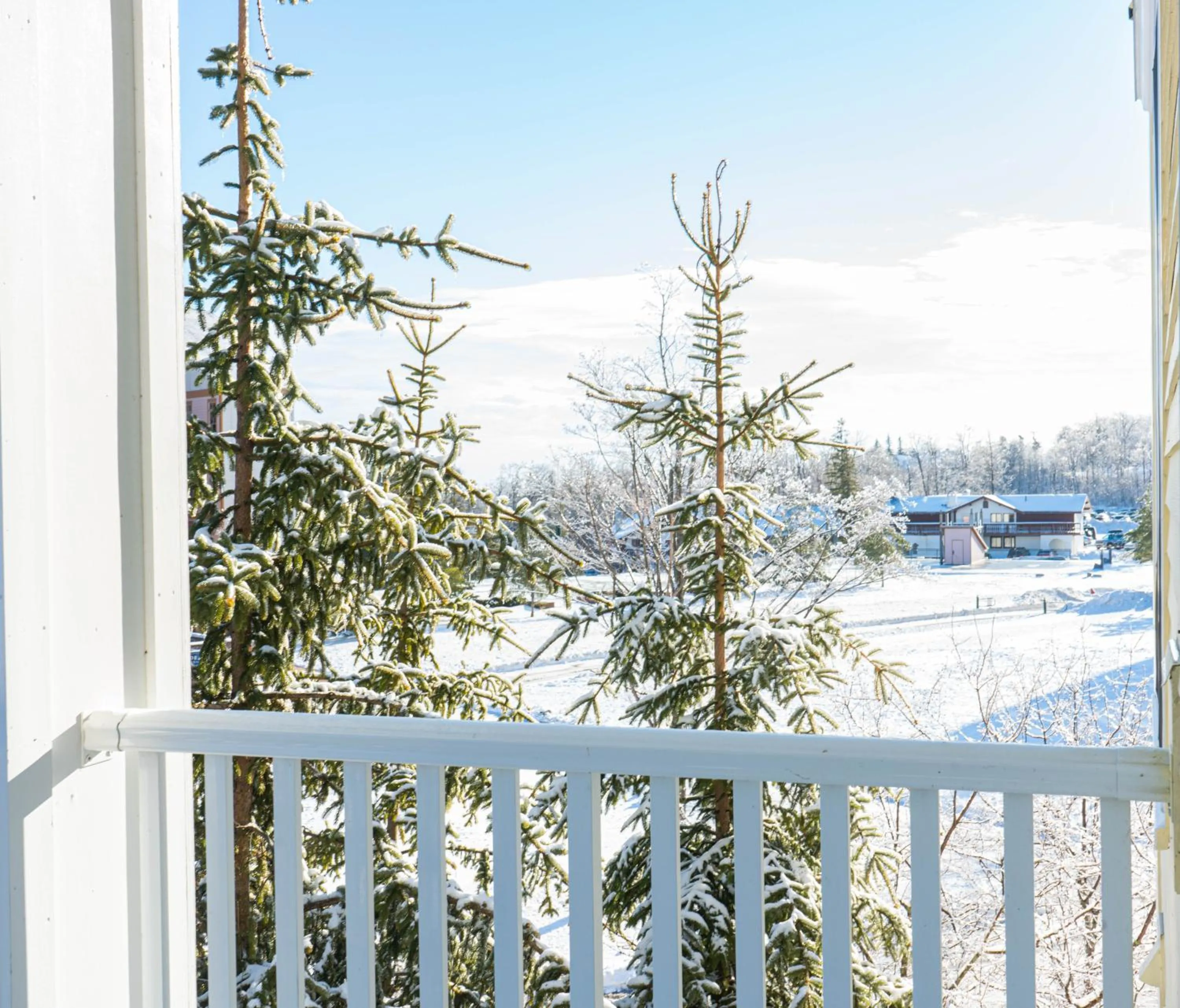 Balcony/Terrace in Long Trail House Condominiums at Stratton Mountain Resort