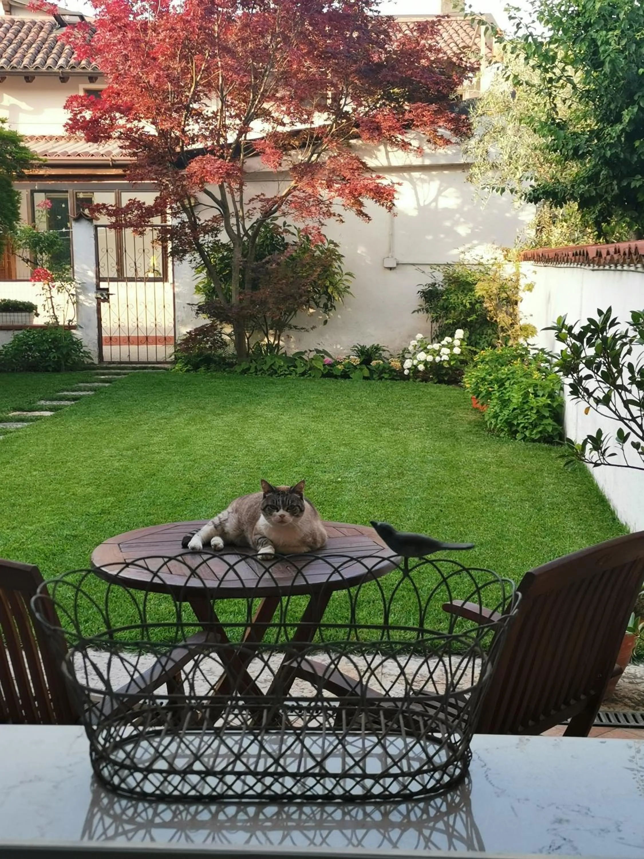 Pets in Il Colibrì Bed&Breakfast