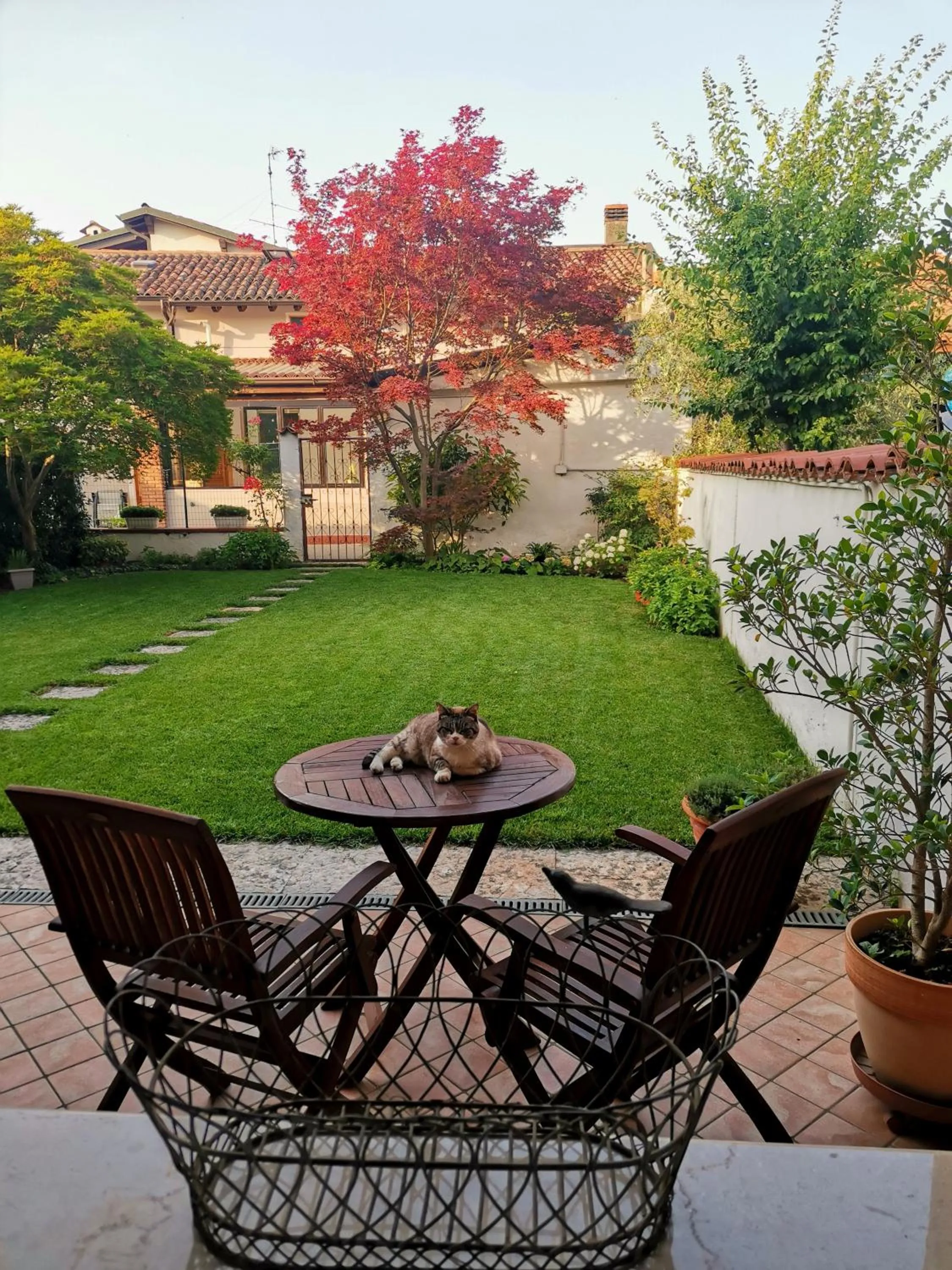 Garden in Il Colibrì Bed&Breakfast