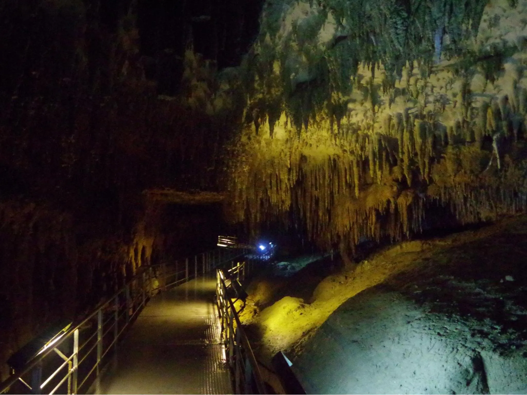 Activities in Condominium・yuyuki