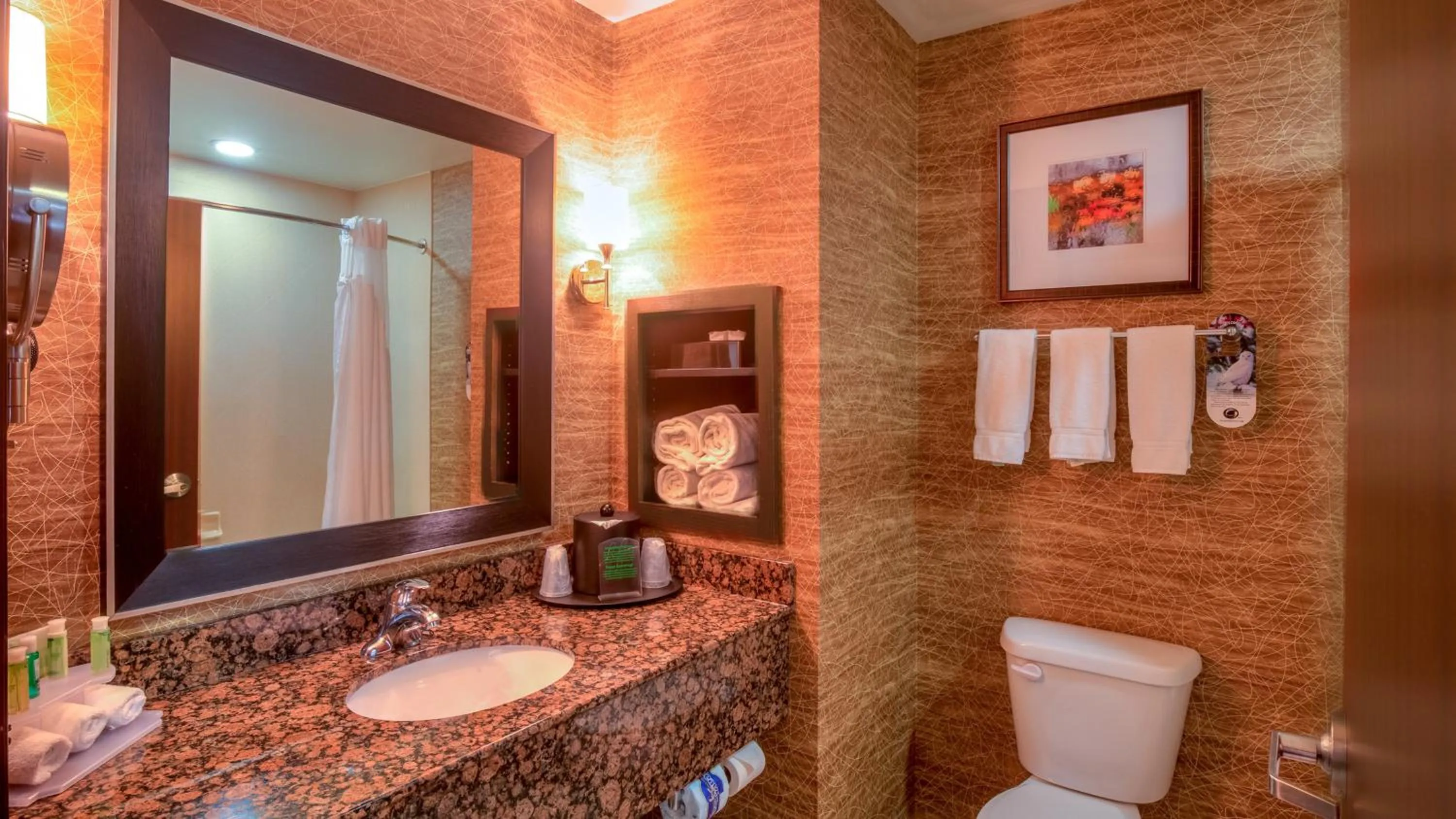 Bathroom in Holiday Inn Express Hotel and Suites Elk City by IHG