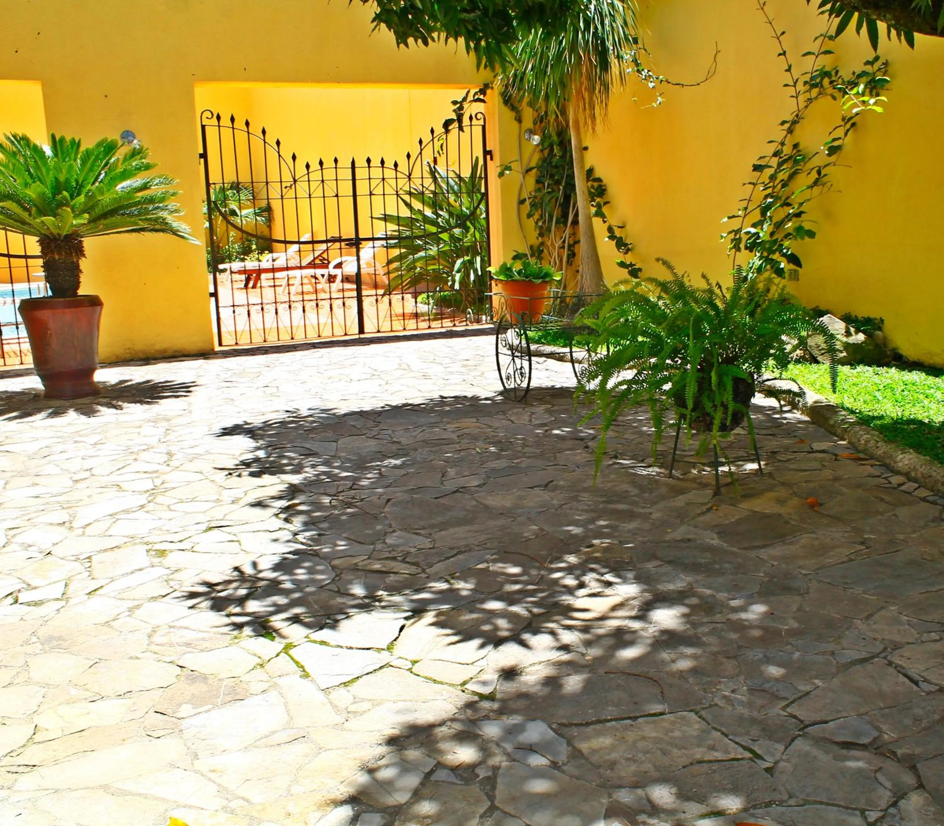 Garden in Hotel Mac Arthur